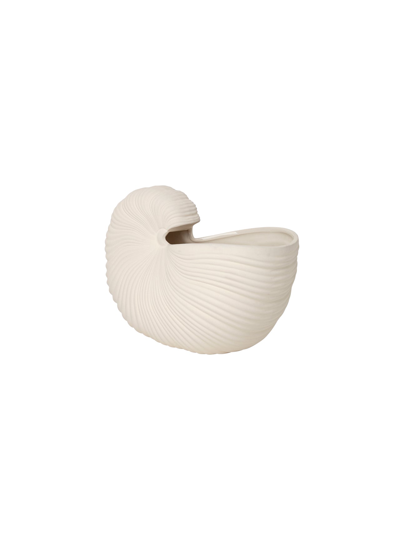 Shell pot / vase | Ceramic | off-white - Lifestory