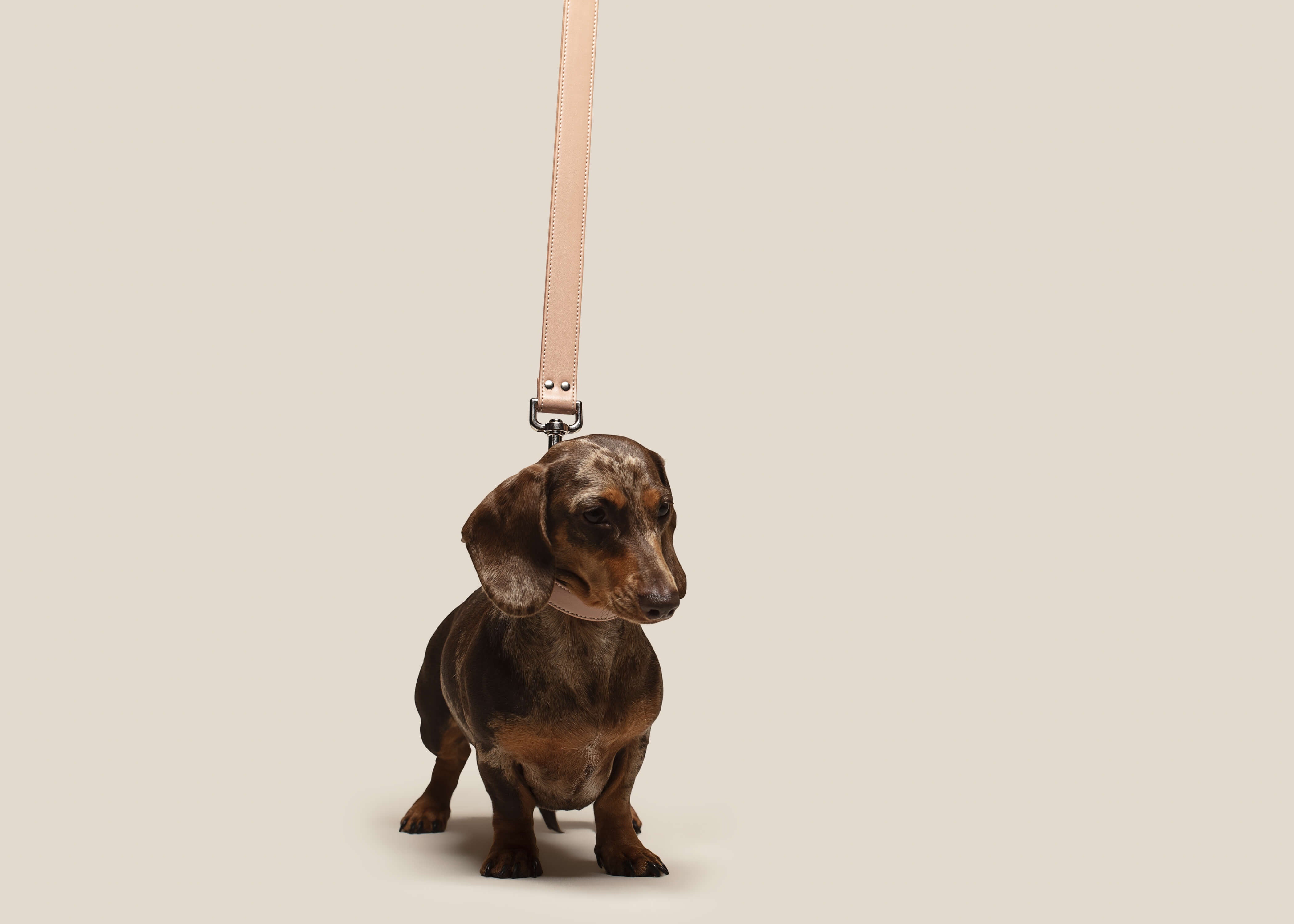 Dog Lead - Vegan Apple Leather | Blush Pink | by Skylos Collective - Lifestory - Skylos Collective
