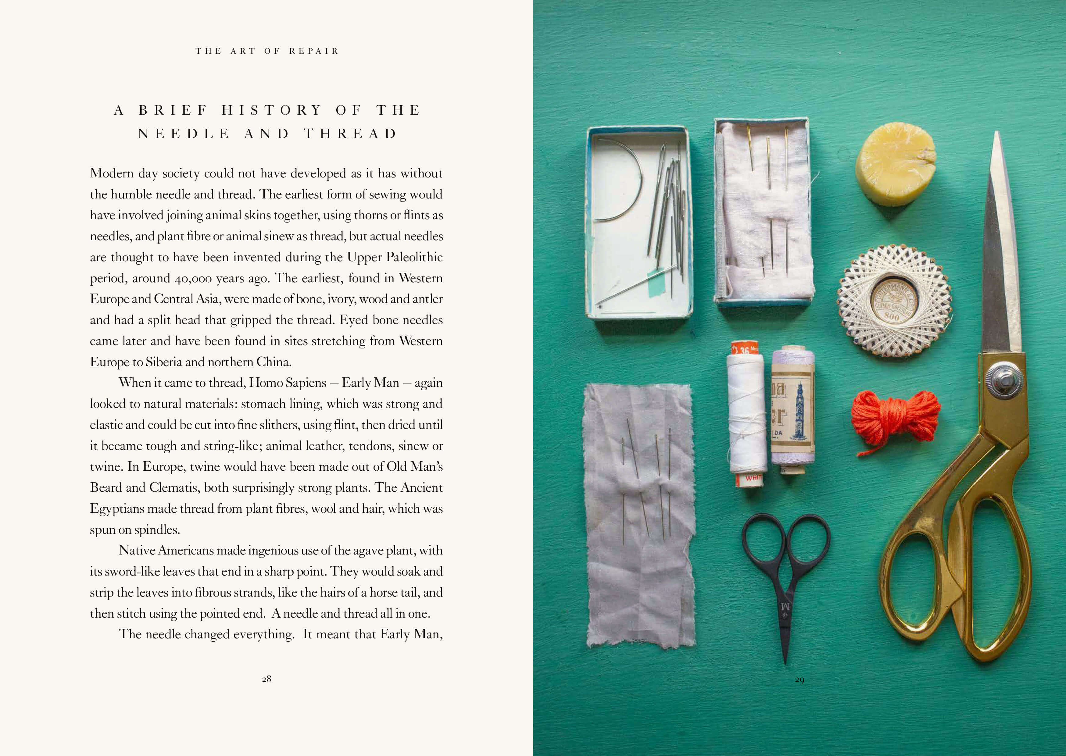 The Art of Repair | Book | by Molly Martin - Lifestory - Bookspeed