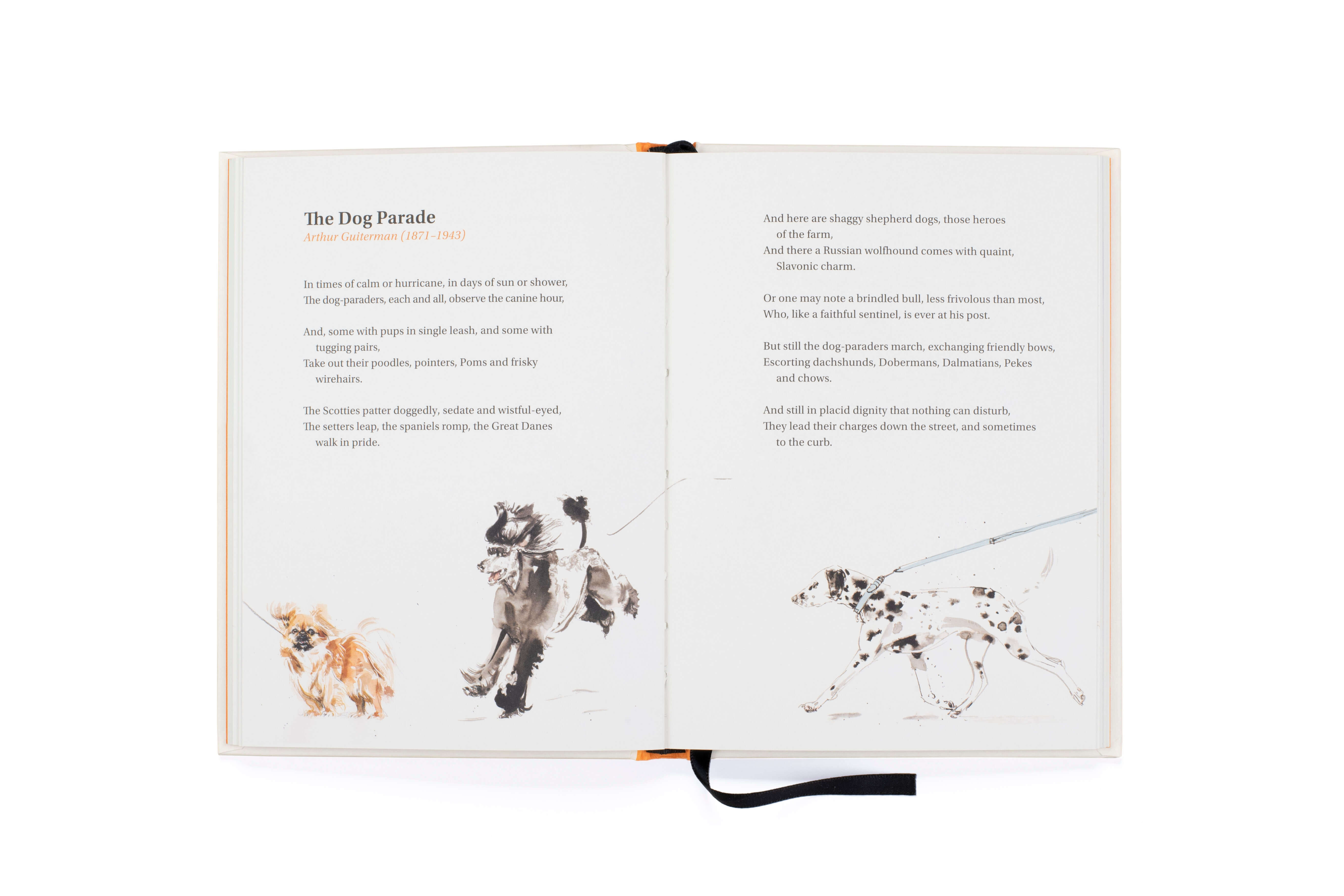 Book of Dog Poems | by Ana Sampson - Lifestory - Bookspeed