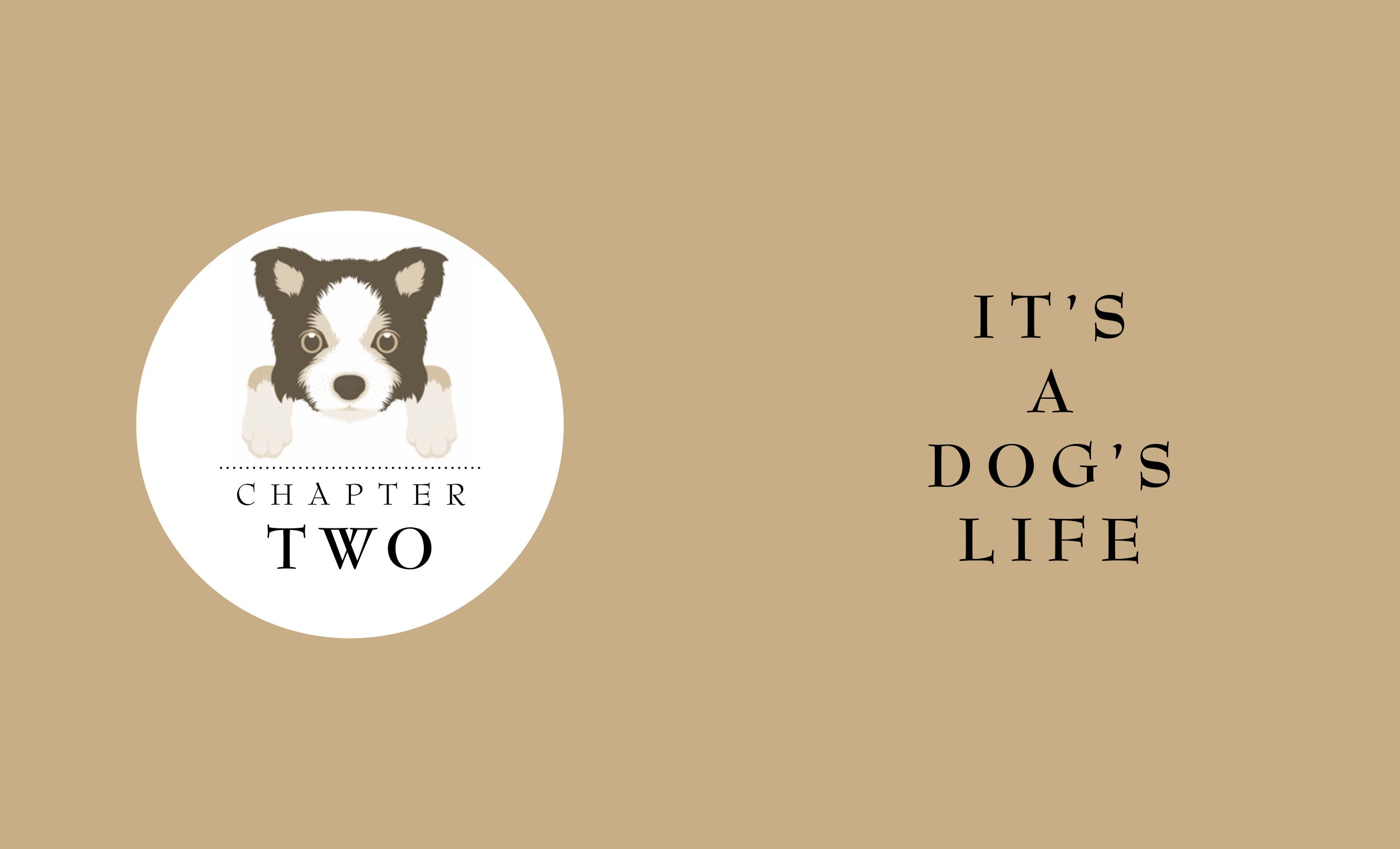 The Little Book of Dogs | Book - Lifestory - Bookspeed