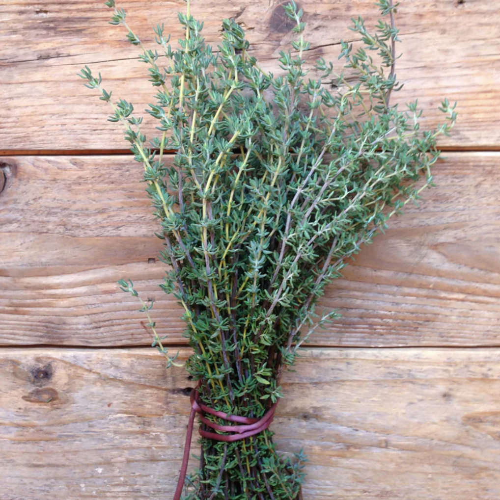 Thyme 'De Provence' Seed Packet | 350 Seeds | by Piccolo - Lifestory - Piccolo