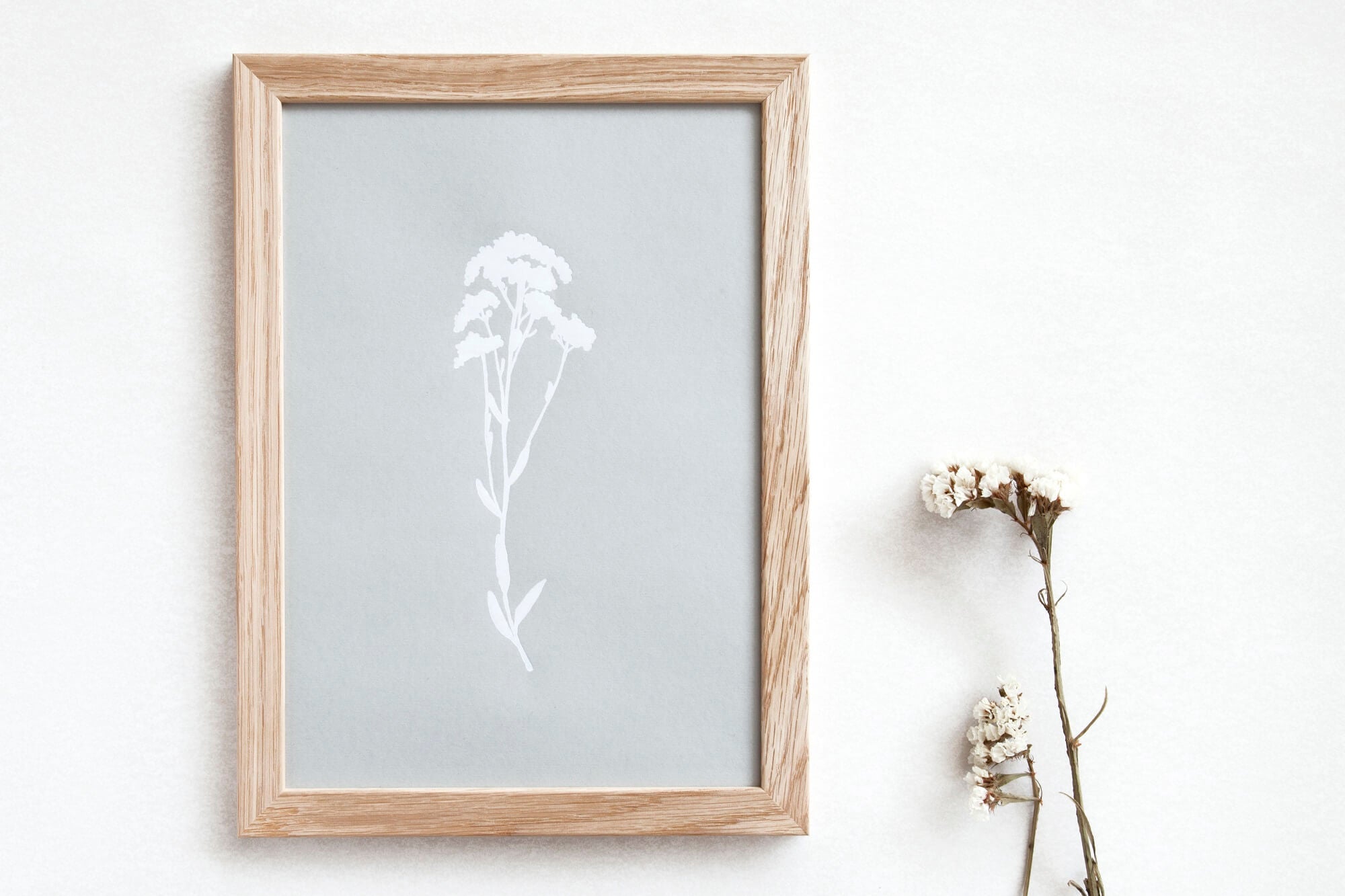 Alyssum Print | A4 | White on Grey | Unframed | by Ola - Lifestory - ola