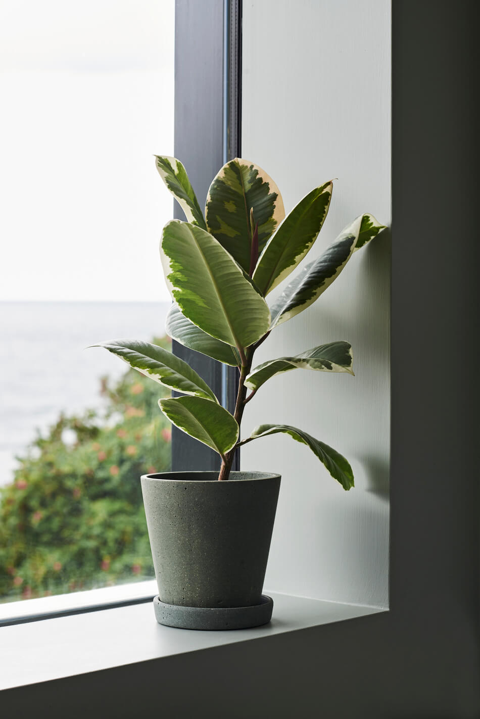 Flowerpot With Saucer | Small | Green | by HAY - Lifestory - HAY