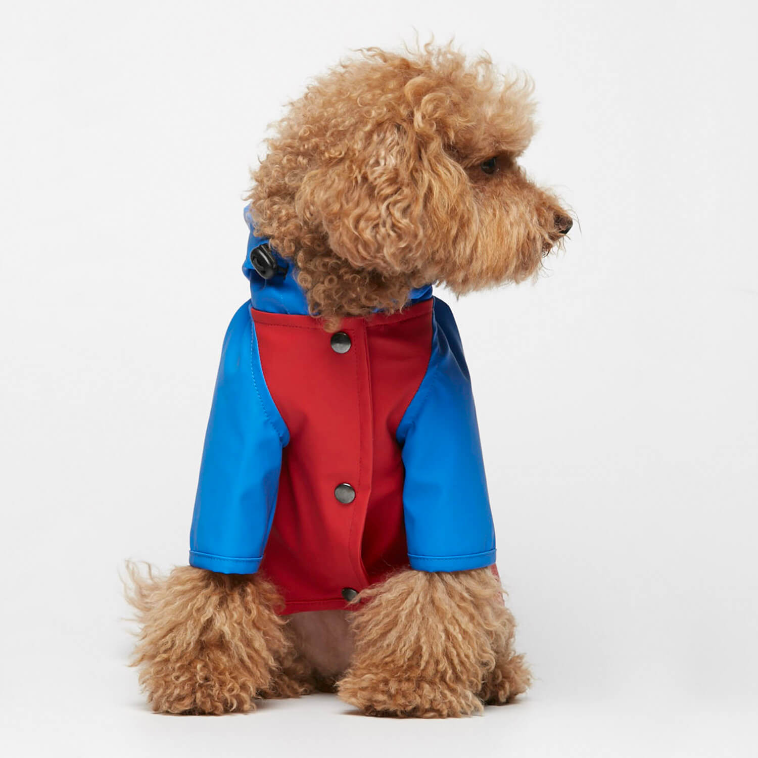 Sarah Raincoat | Green Paw Sustainable | Red with Blue Sleeves | From £64 - Lifestory - The Painter's Wife
