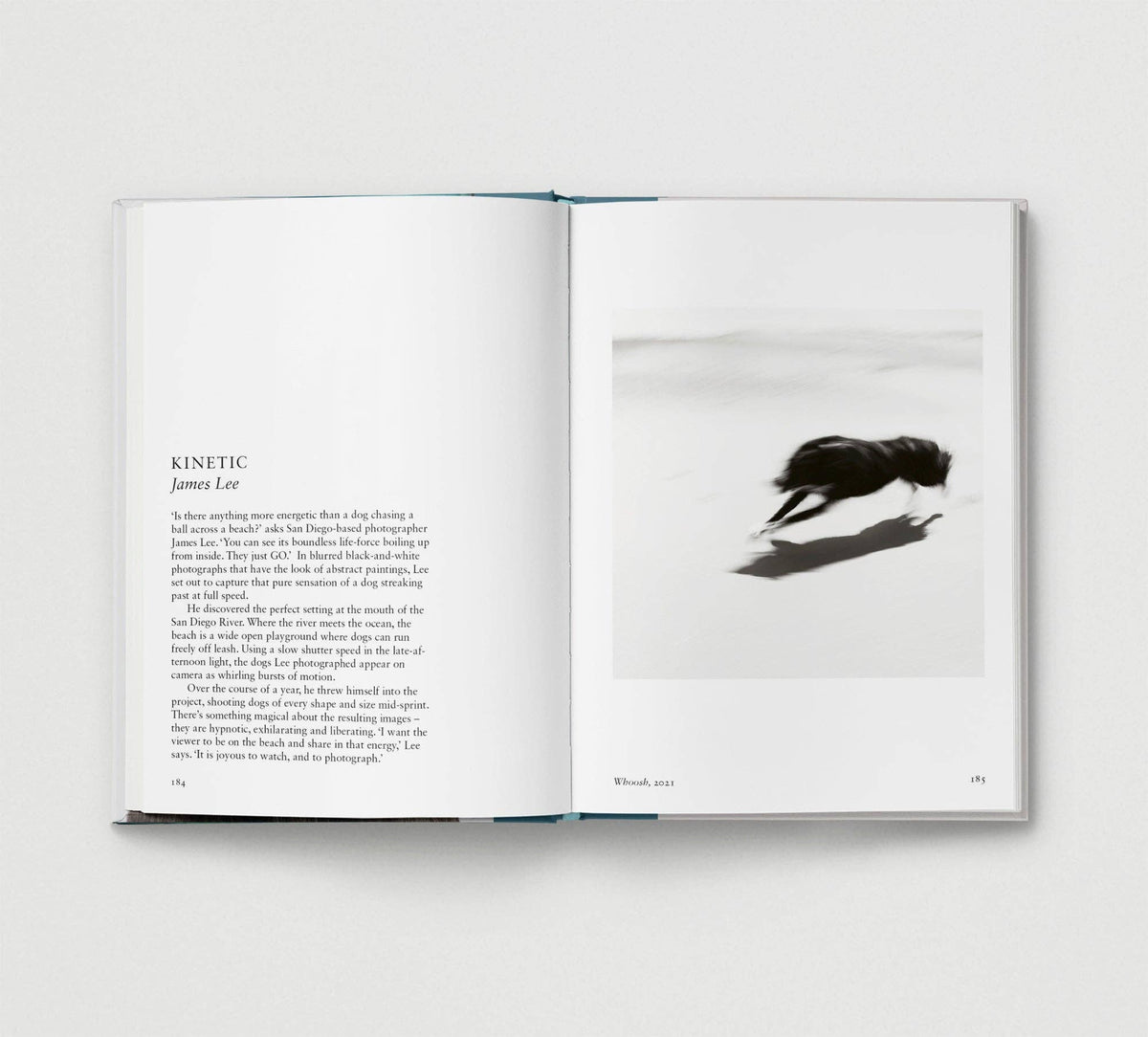 Dog. | Portrait Compilation Book