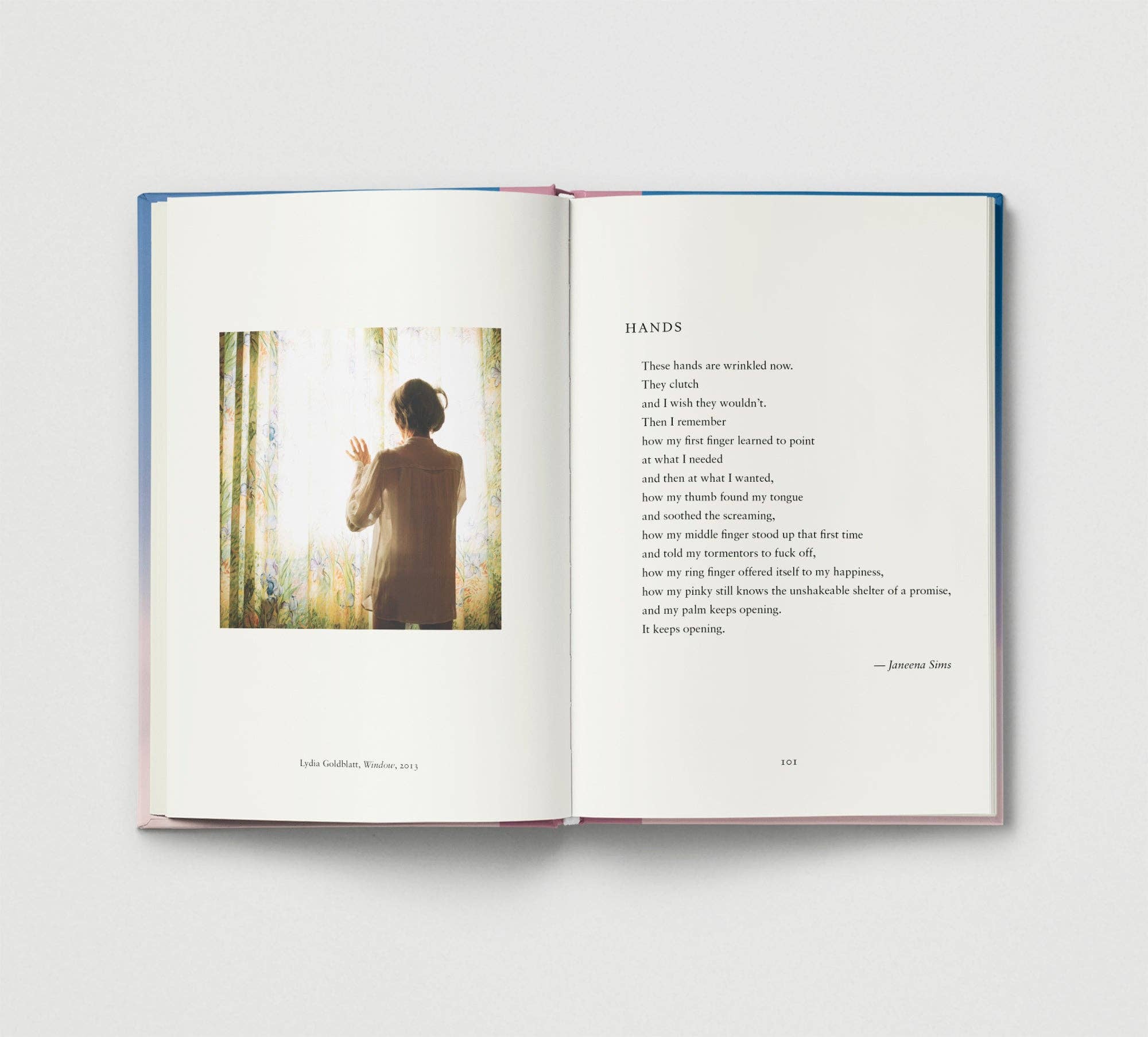 Everyday Wonder | Compilation Book