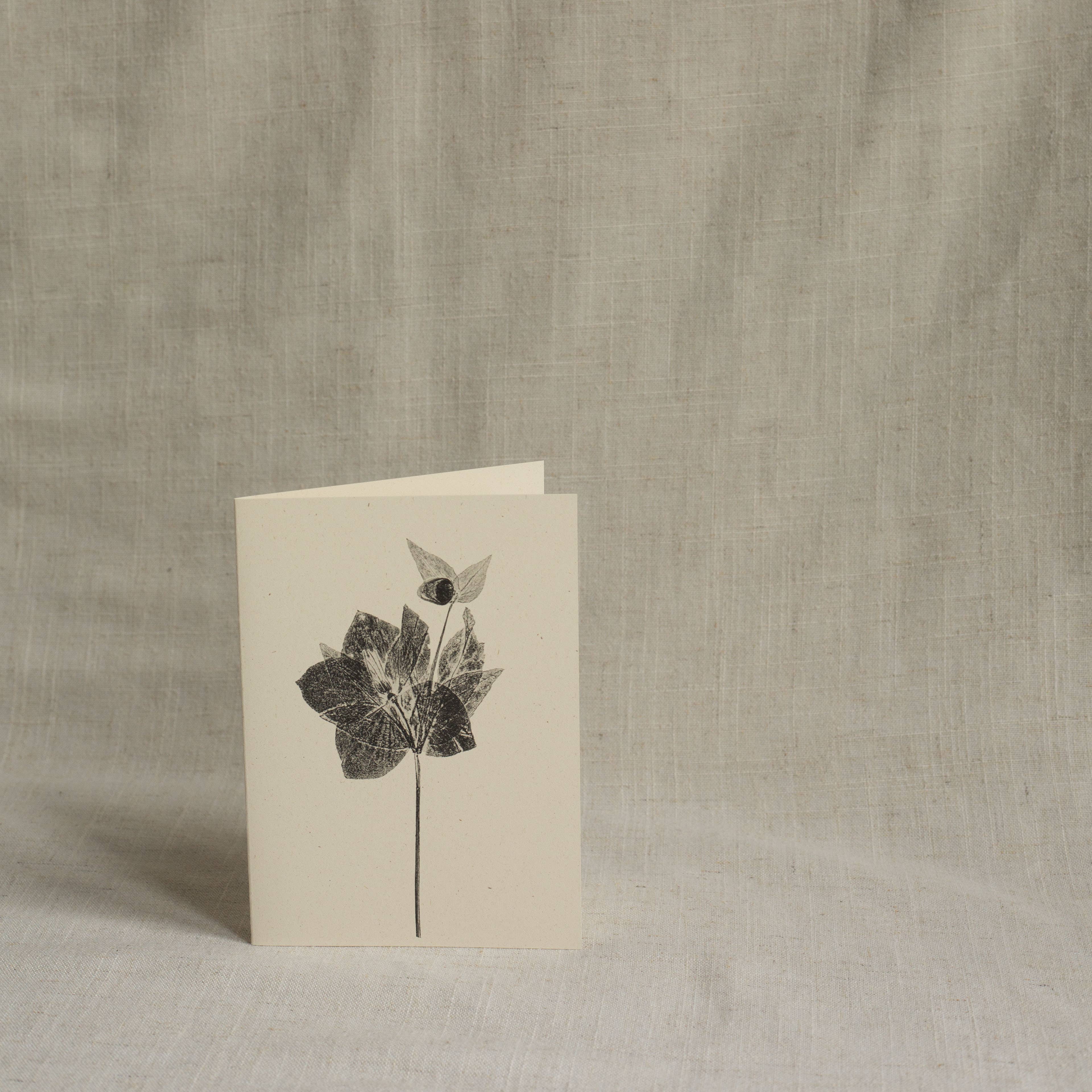 Hellebore Botanical Monoprint Card by Alicia Breakspear