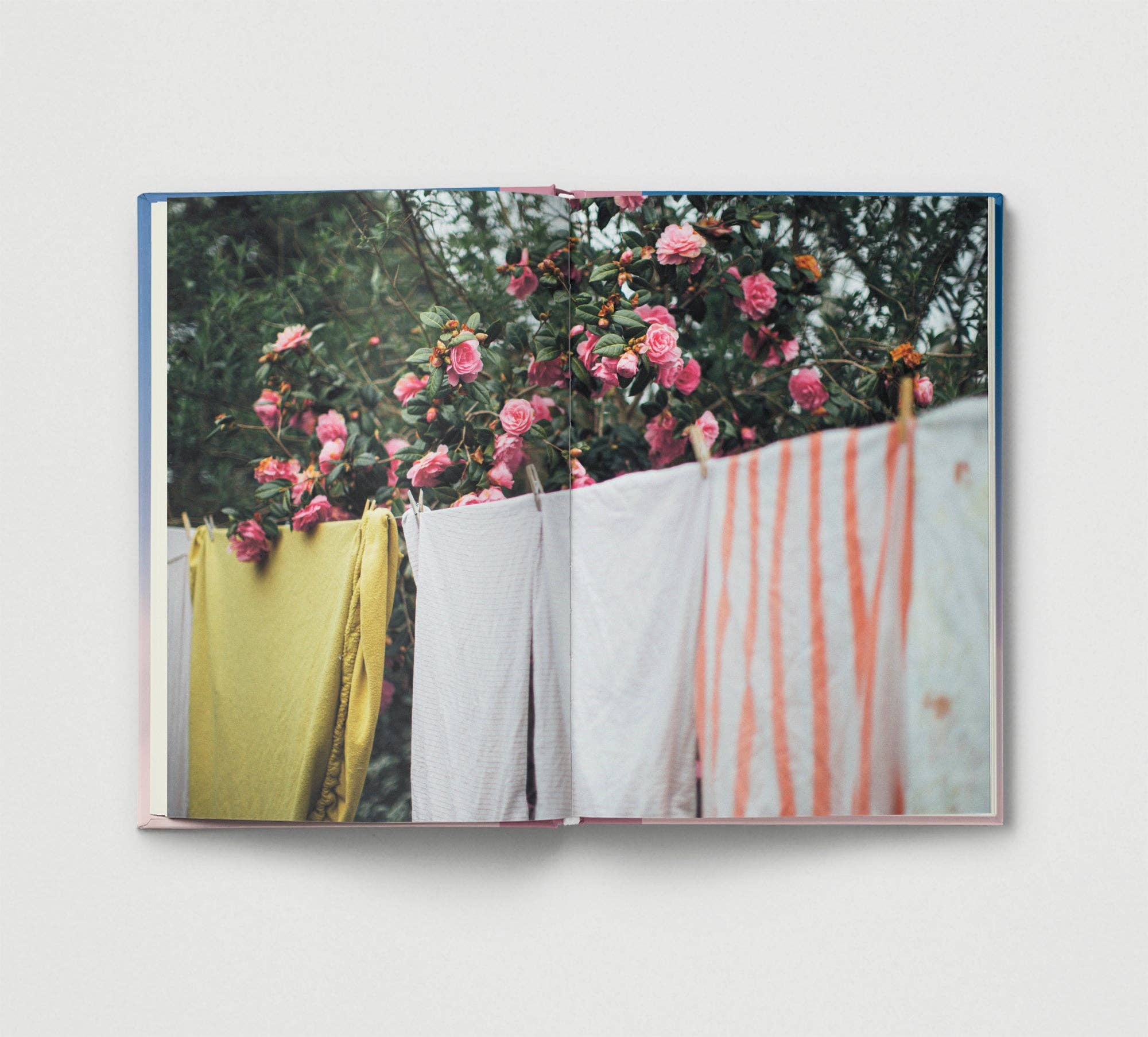 Everyday Wonder | Compilation Book
