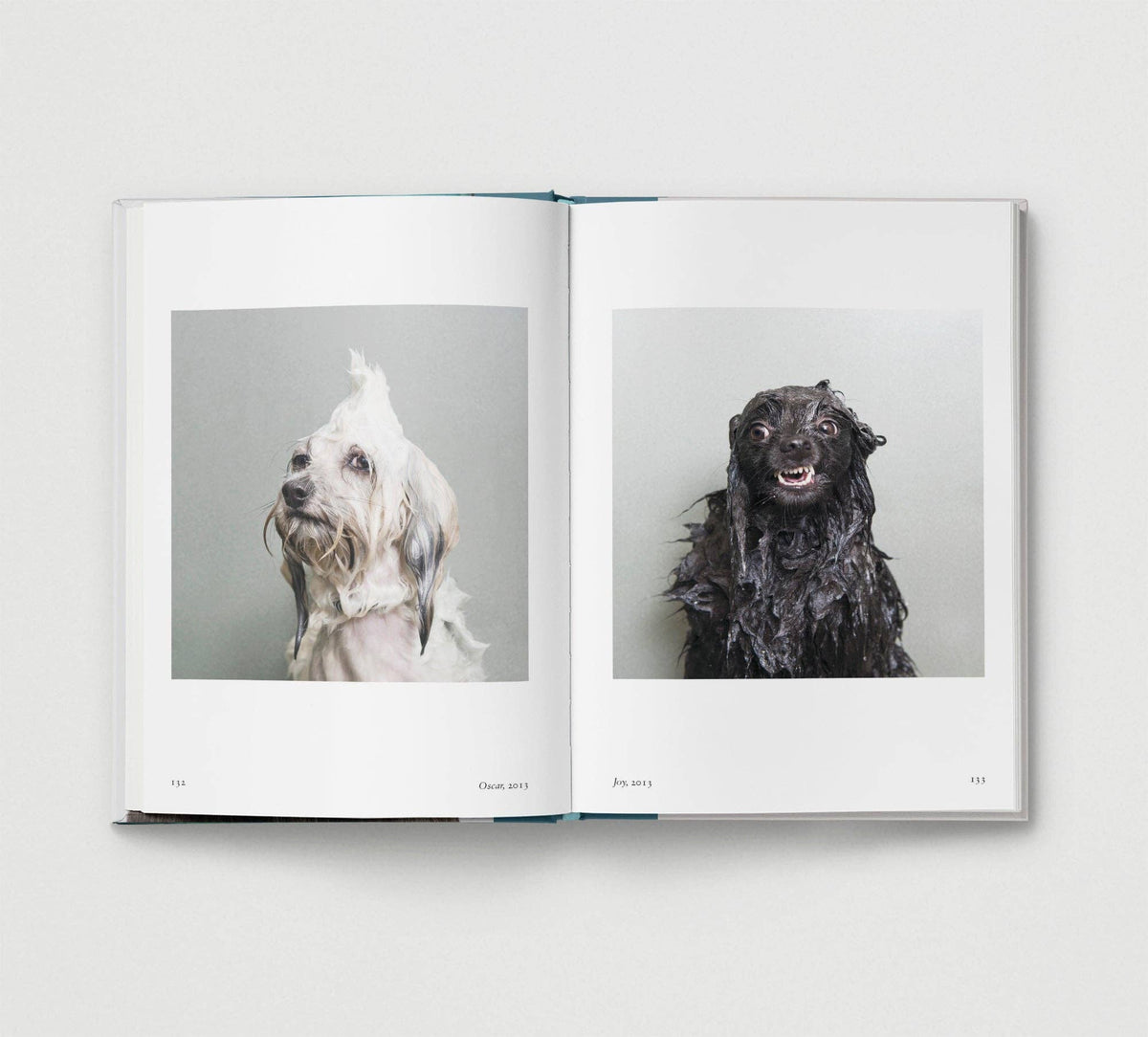 Dog. | Portrait Compilation Book