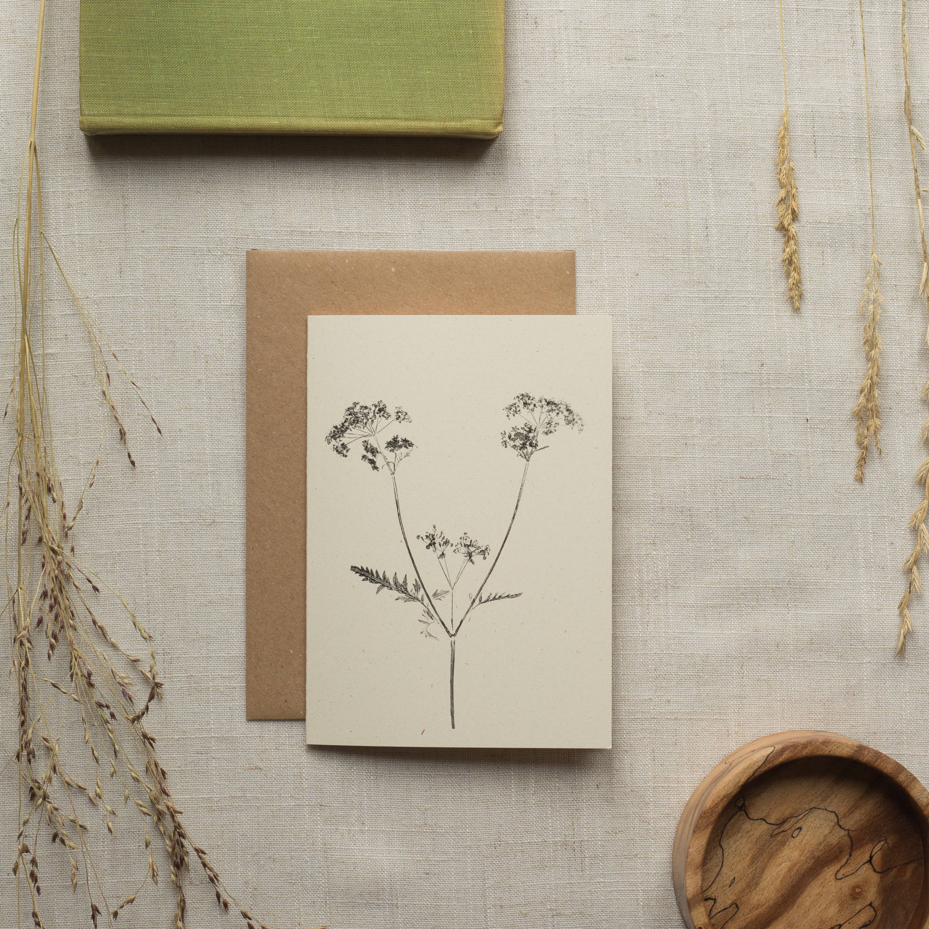 Cow Parsley Botanical Monoprint Card by Alicia Breakspear