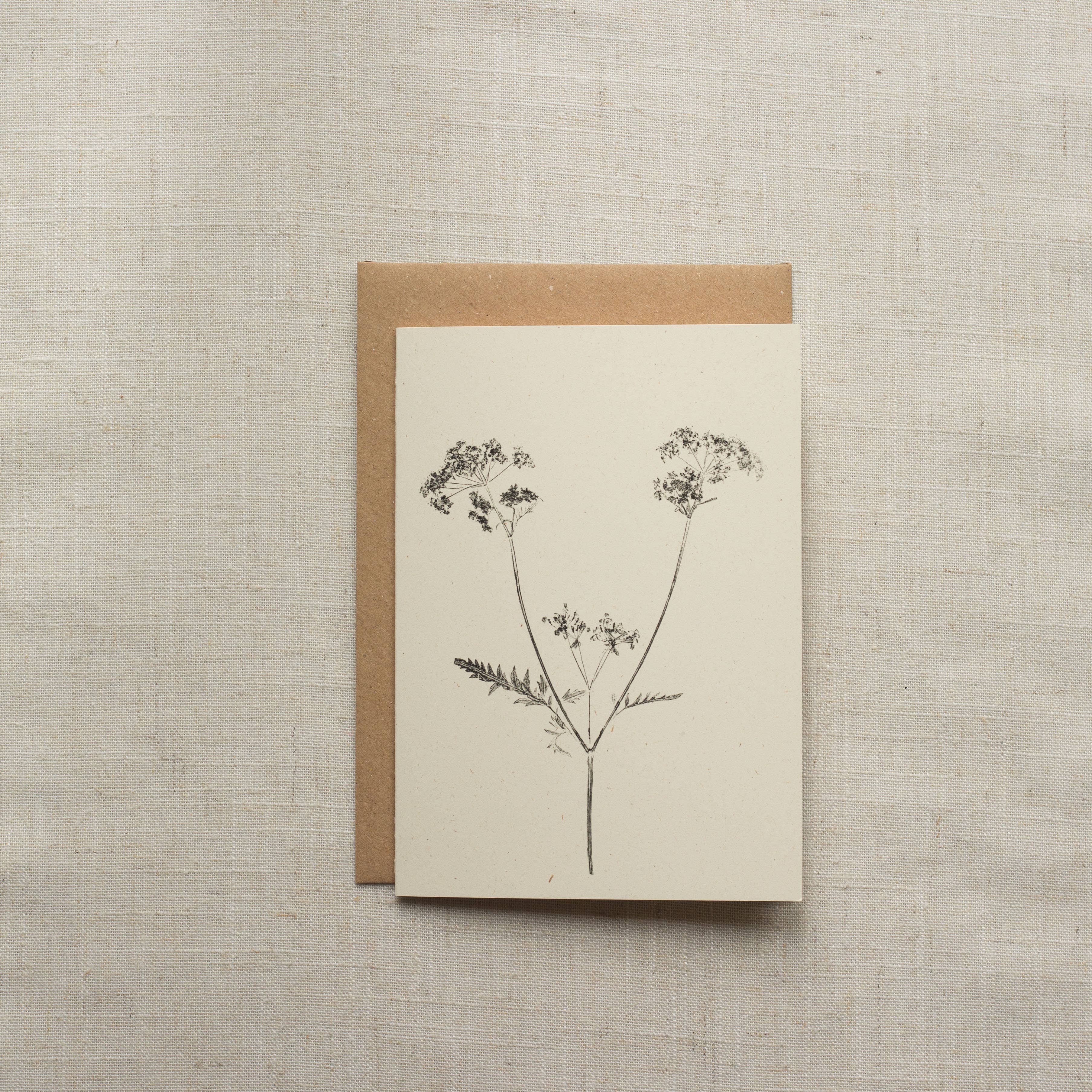 Cow Parsley Botanical Monoprint Card by Alicia Breakspear