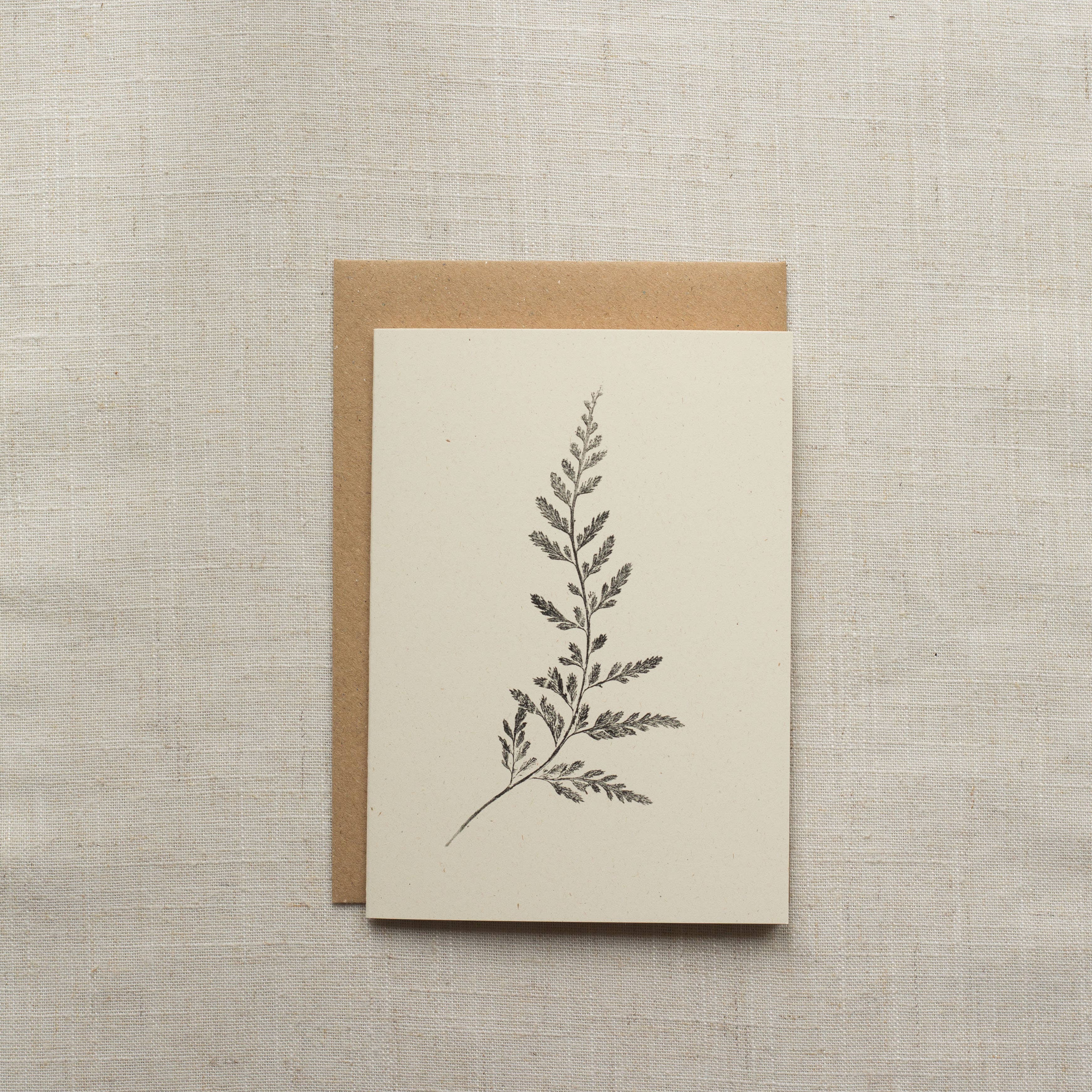Spleenwort Fern Botanical Monoprint Card by Alicia Breakspear