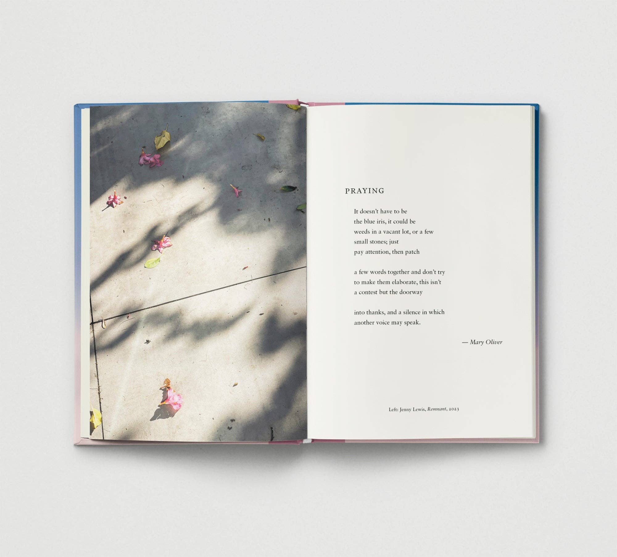 Everyday Wonder | Compilation Book