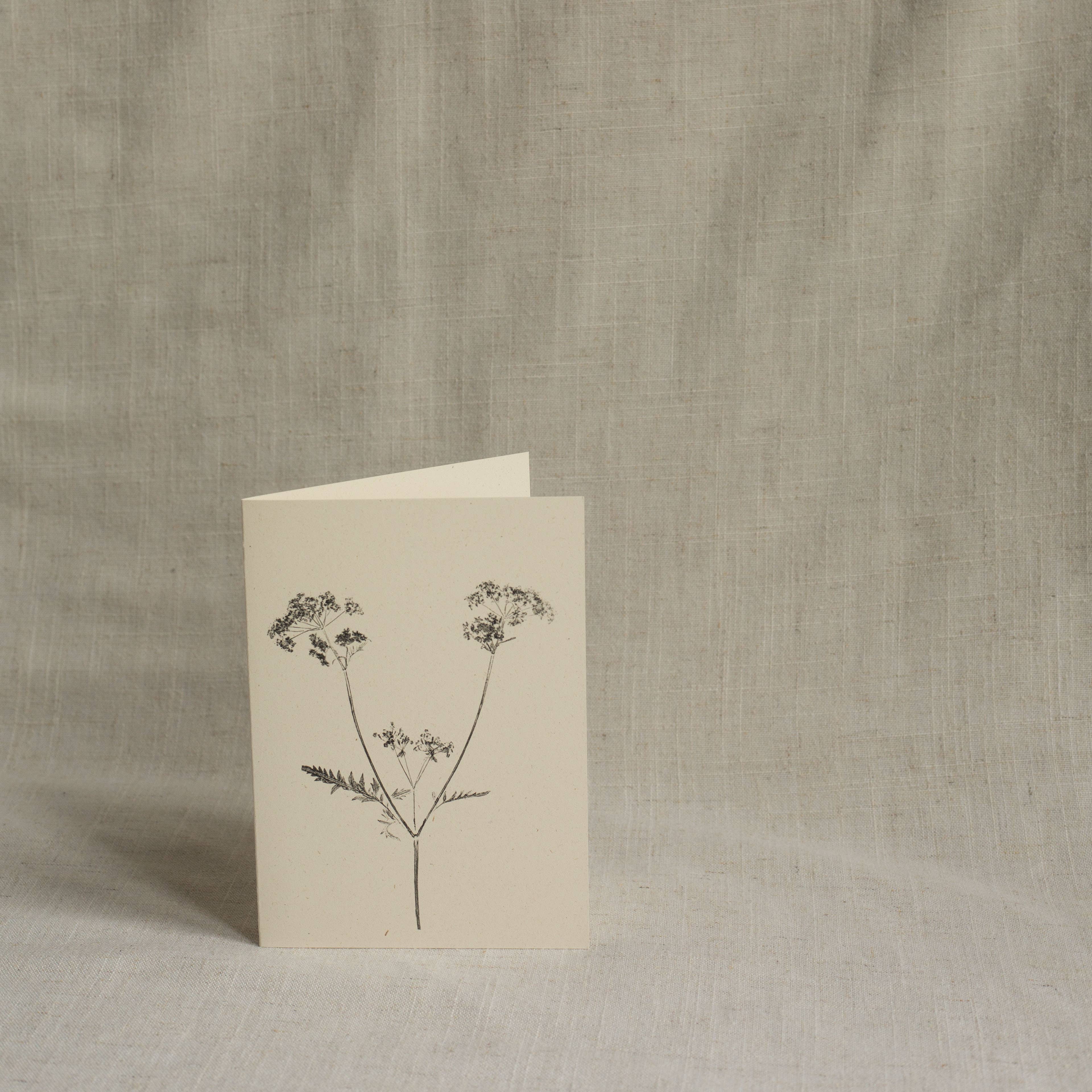 Cow Parsley Botanical Monoprint Card by Alicia Breakspear