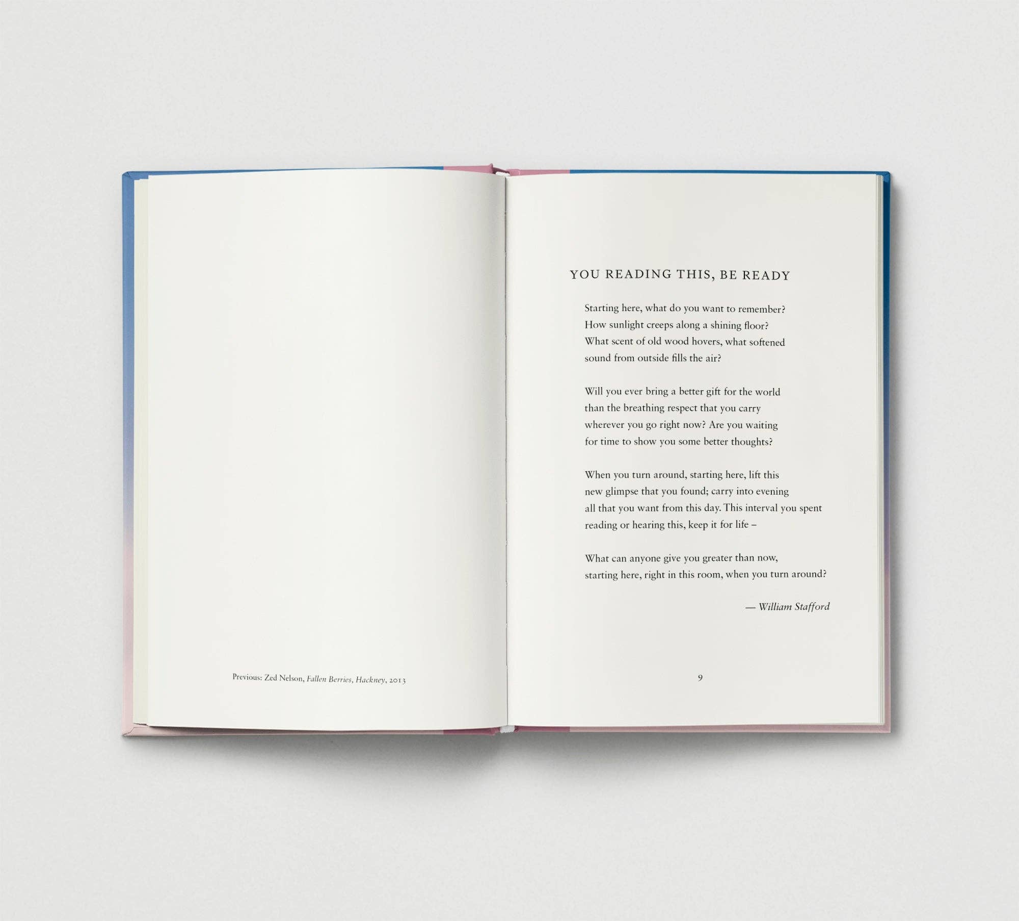 Everyday Wonder | Compilation Book
