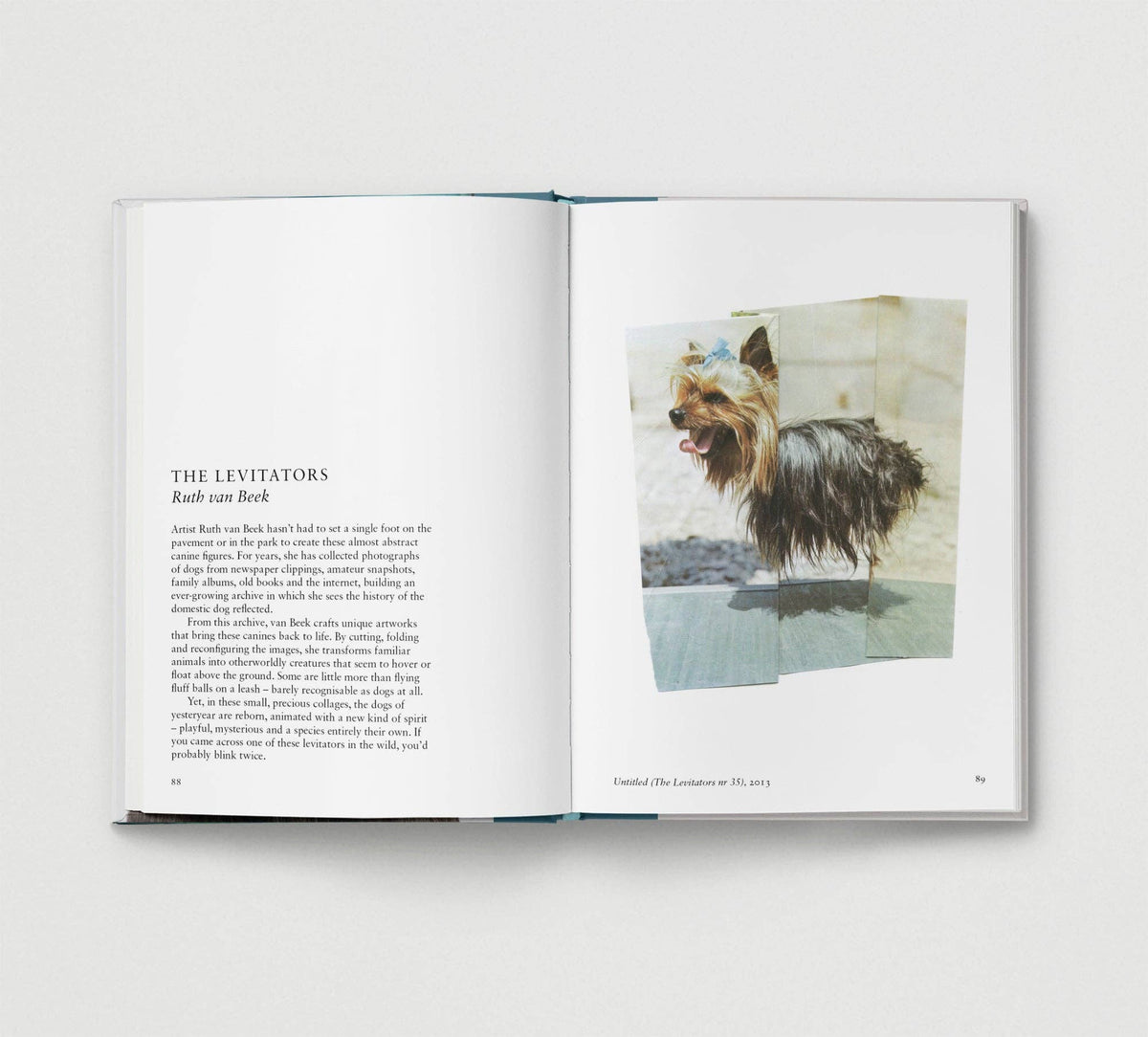 Dog. | Portrait Compilation Book