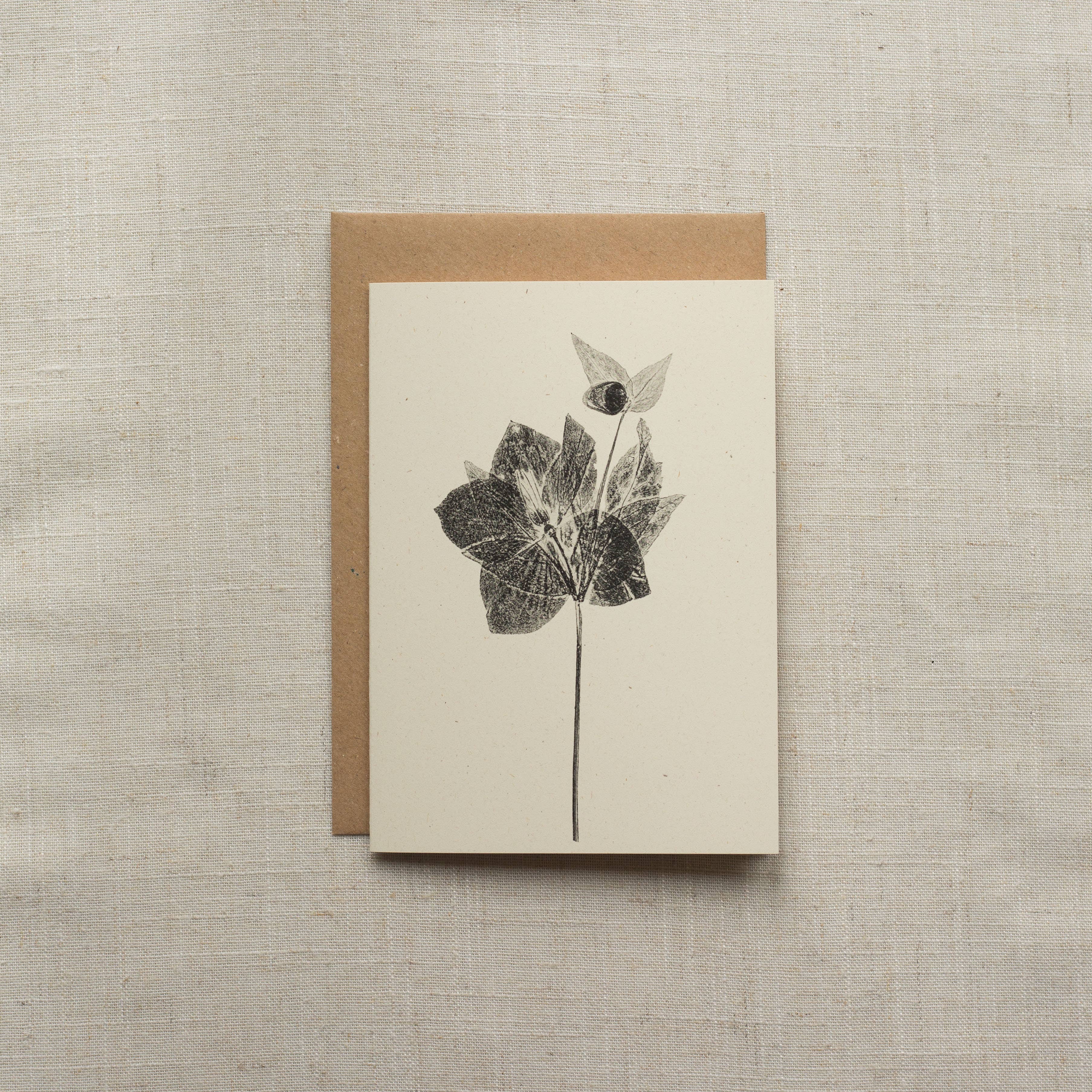 Hellebore Botanical Monoprint Card by Alicia Breakspear