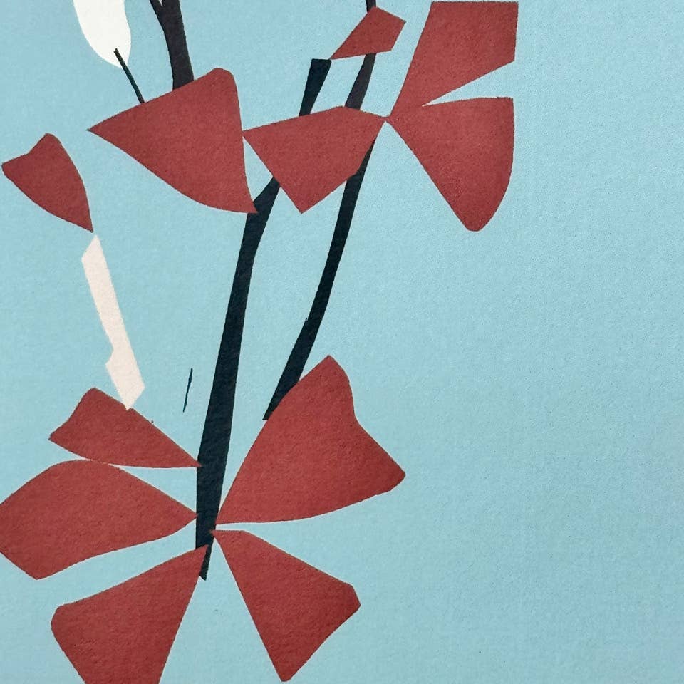 'Oxalis' Card by Pavilion - Lifestory
