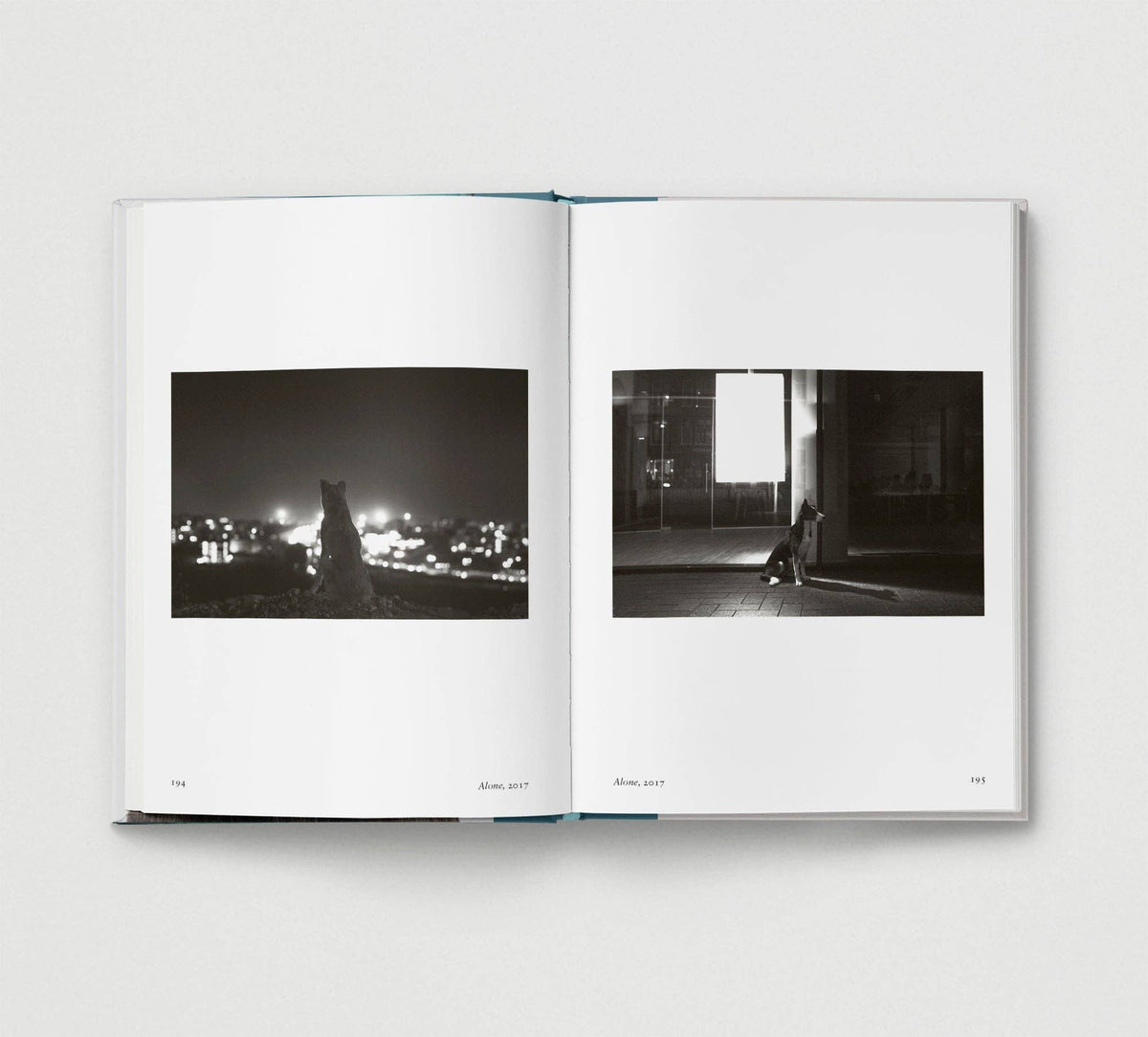 Dog. | Portrait Compilation Book