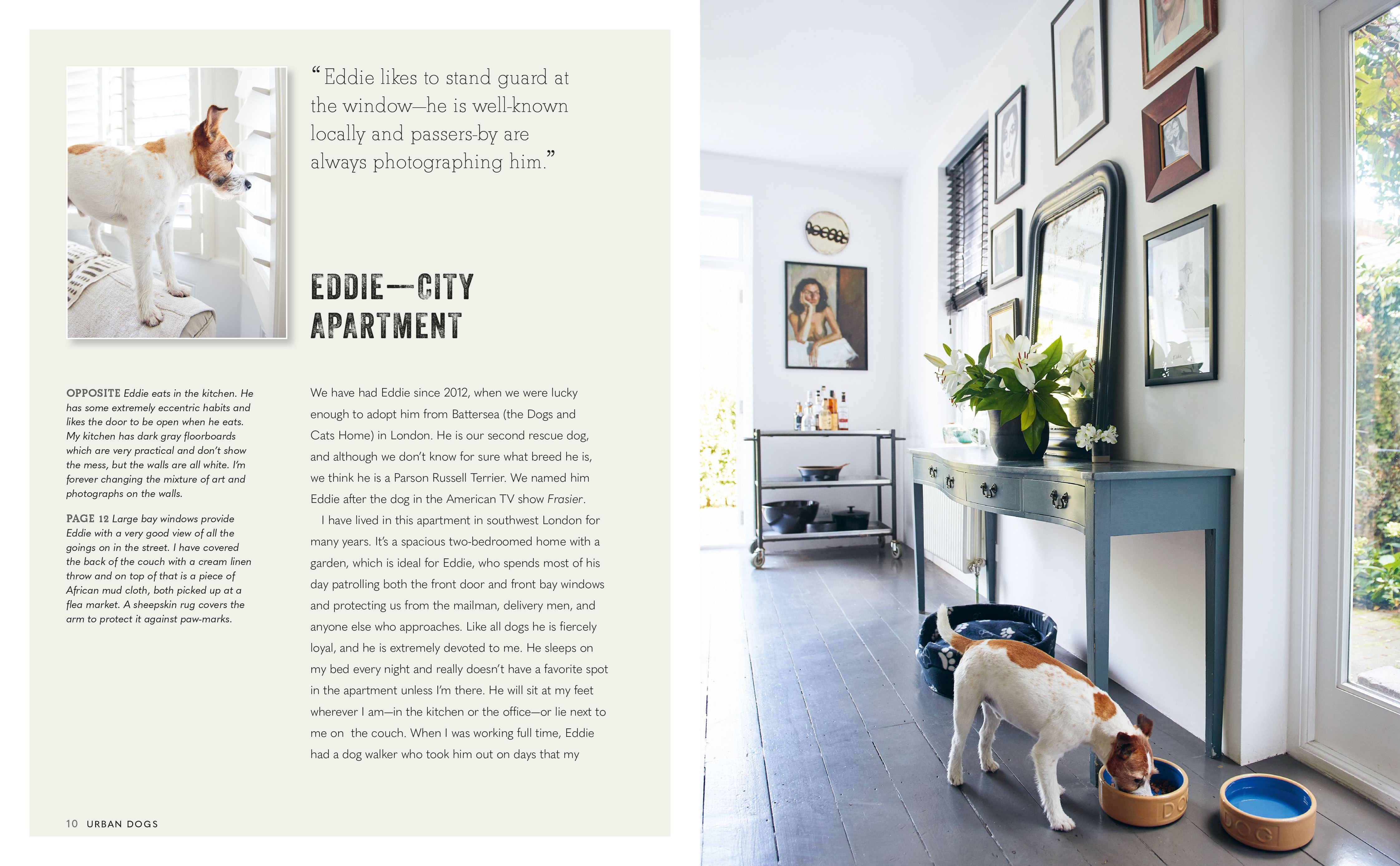 Cool Dogs Cool Homes | Book | by Geraldine James - Lifestory