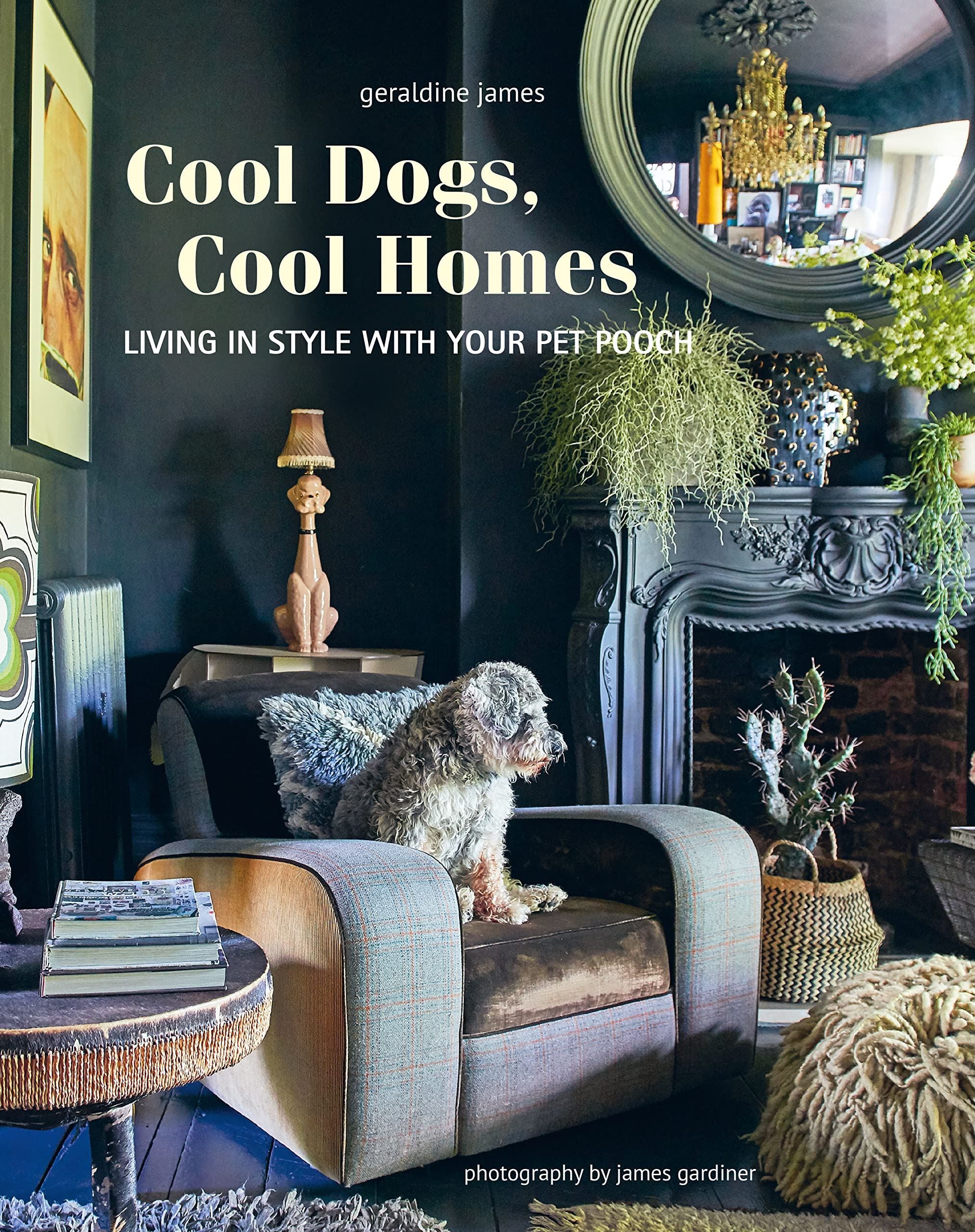 Cool Dogs Cool Homes | Book | by Geraldine James - Lifestory