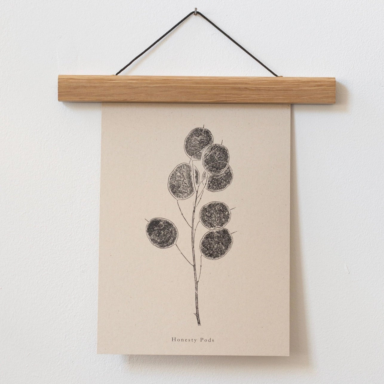 Honesty Pods A4 Botanical Monoprint Unframed Print by Alicia Breakspear
