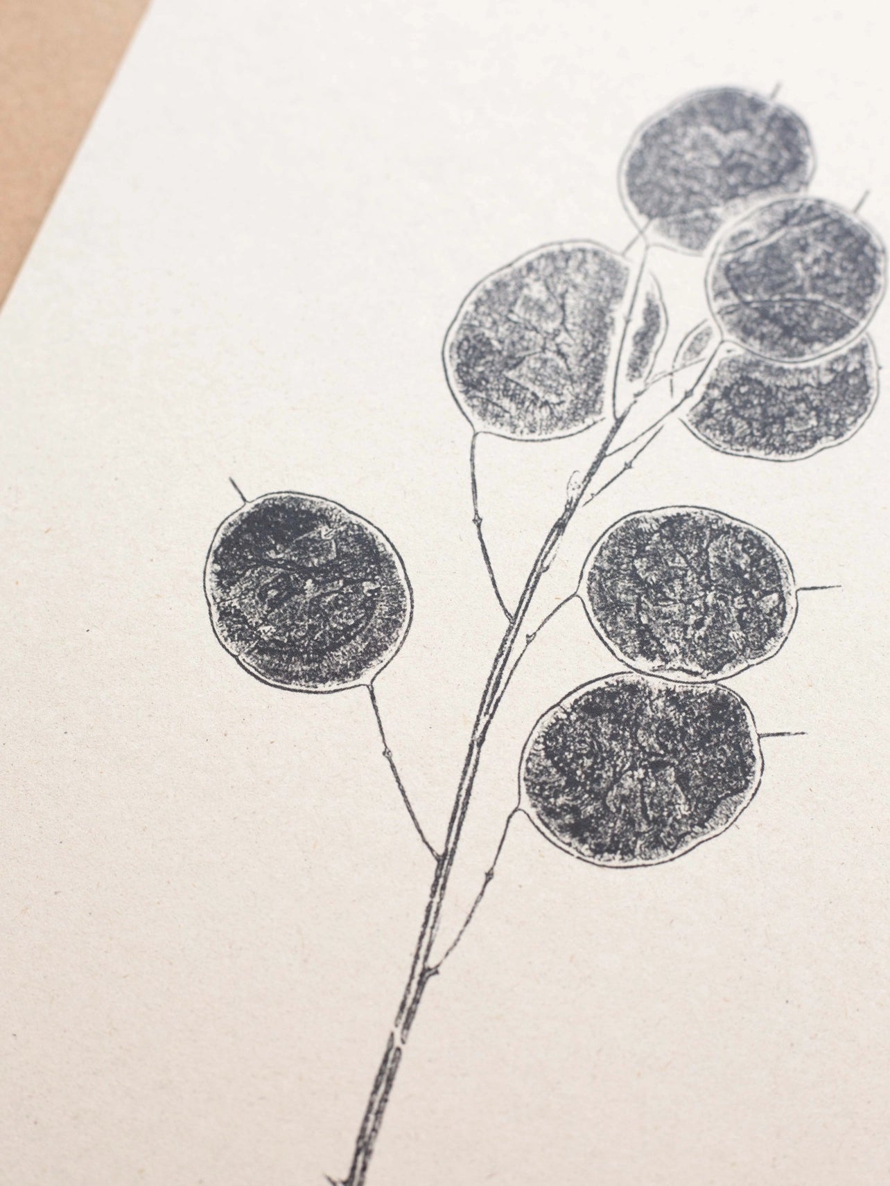 Honesty Pods A4 Botanical Monoprint Unframed Print by Alicia Breakspear