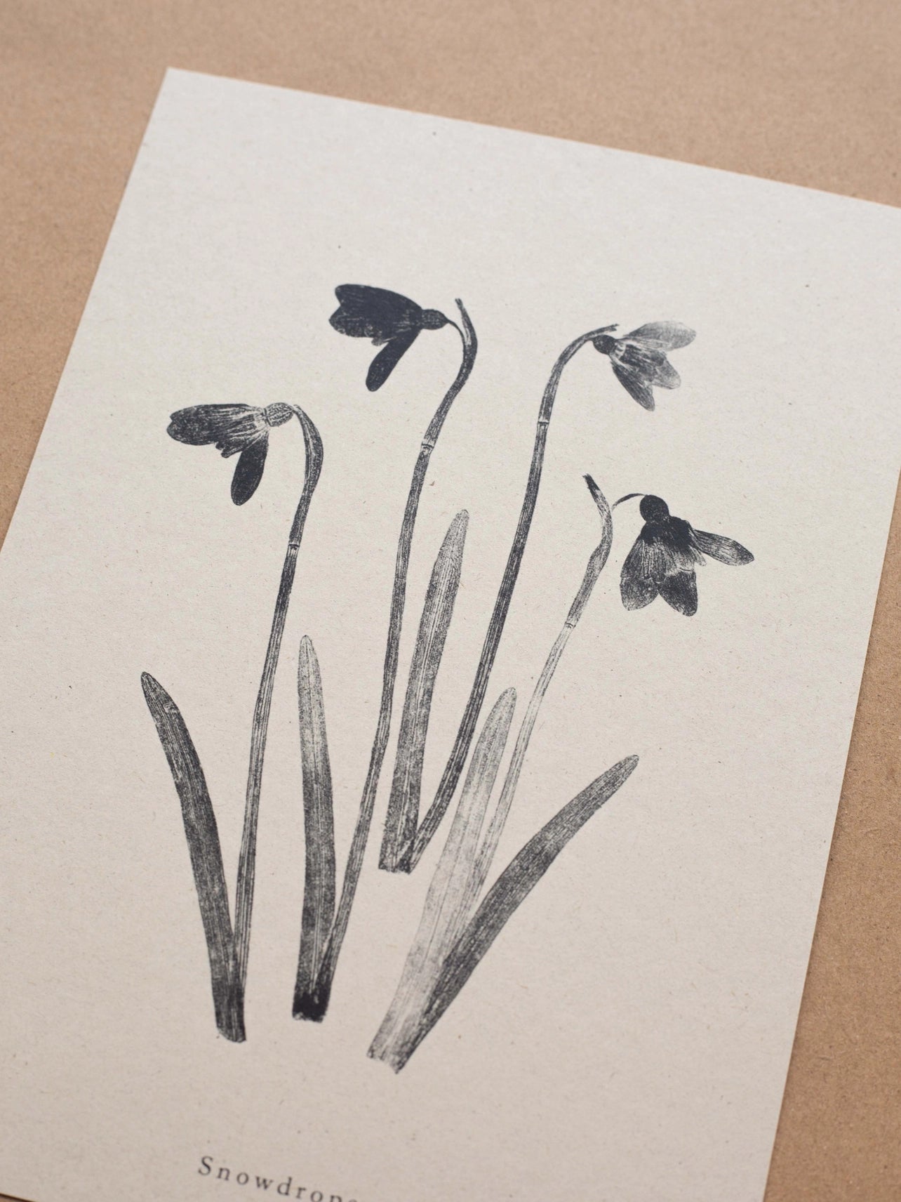 Snowdrops A4 Botanical Monoprint Unframed Print by Alicia Breakspear