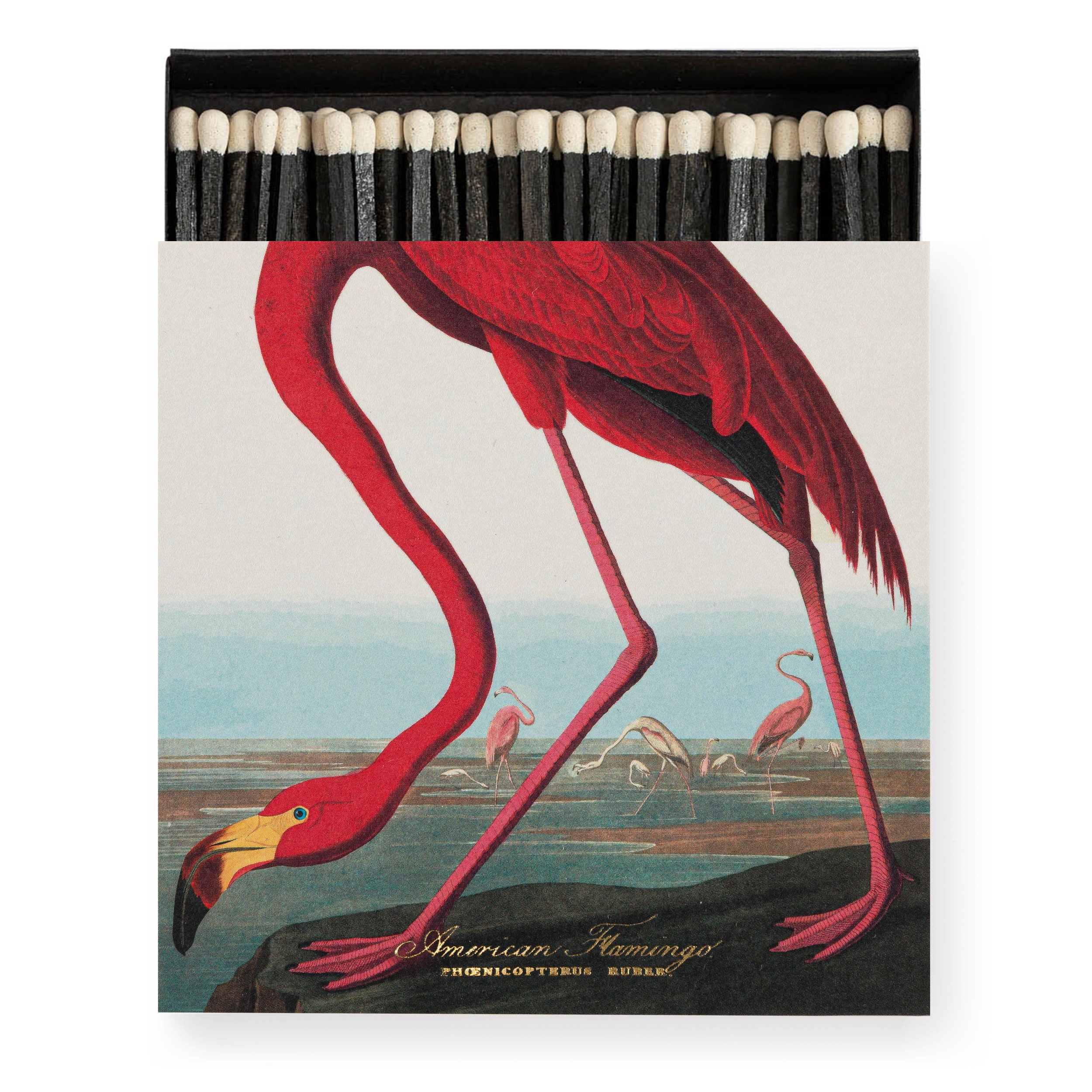 Long Matches - Square Box | The American Flamingo | by Archivist - Lifestory