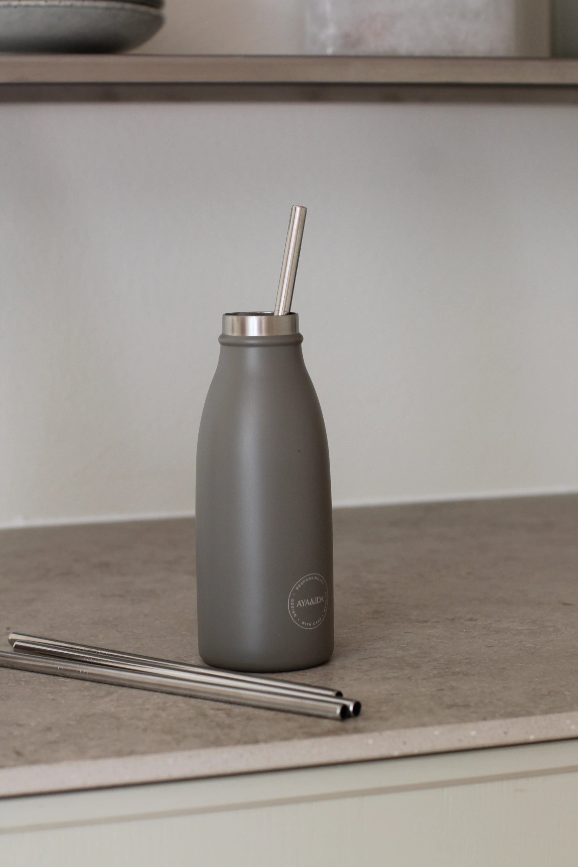 Aya&Ida Set of 4 Reusable Long Straight Steel Straws with Brush