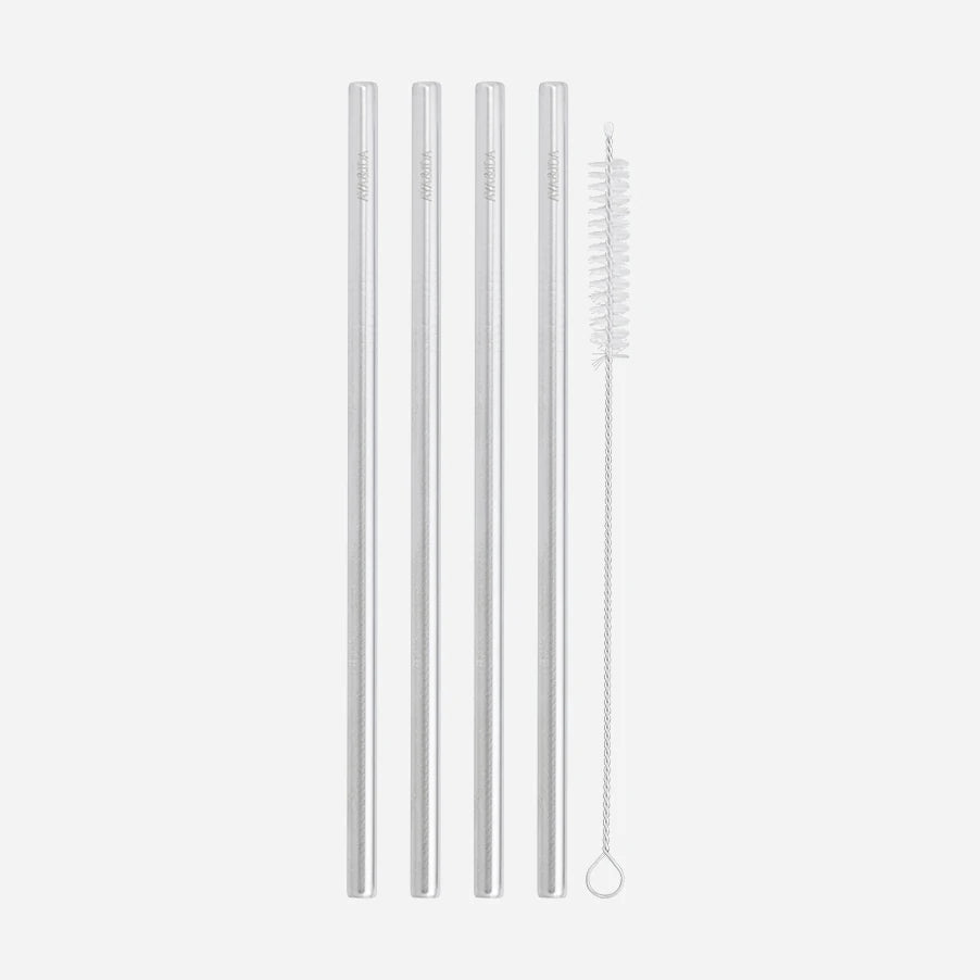 Aya&Ida Set of 4 Reusable Long Straight Steel Straws with Brush