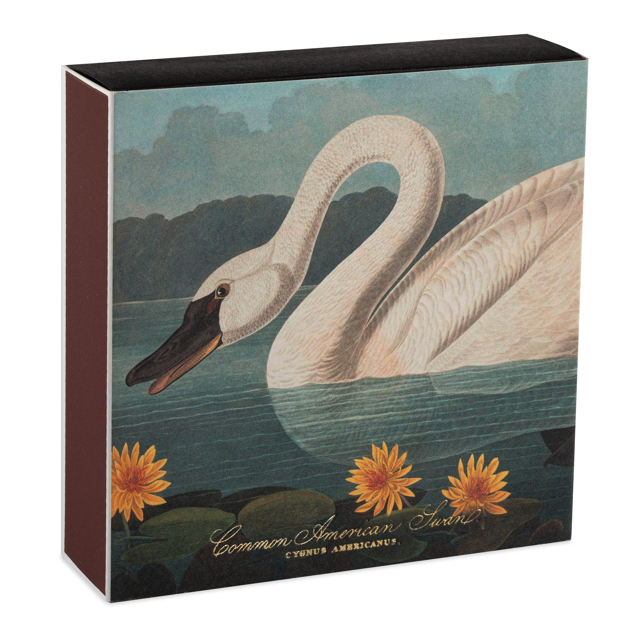 Long Matches - Square Box | The Common American Swan | by Archivist - Lifestory