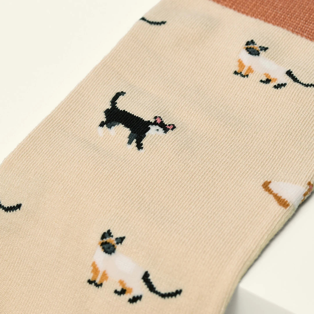 KOSI London The Cats Bamboo Socks (UK 3-8)  on a white background | Lifestory