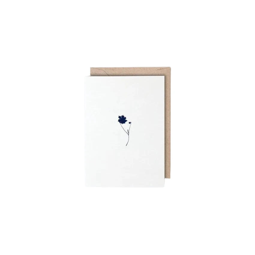Small Coreopsis Card | Navy on Natural | Foil Blocked | by Ola - Lifestory