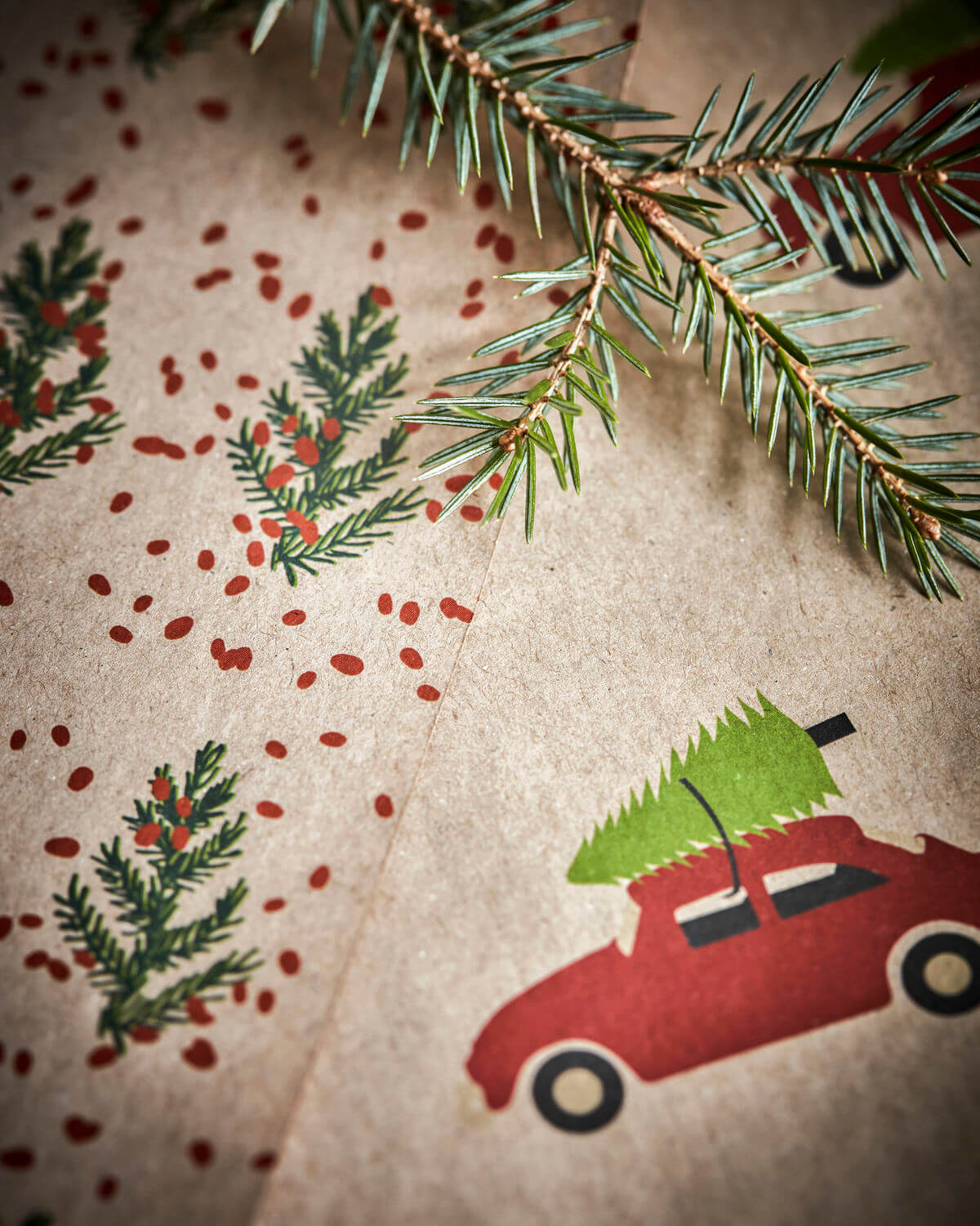 Gift Wrapping Paper | Crafty | Pack of 2 | Cars & Trees | by House Doctor - Lifestory