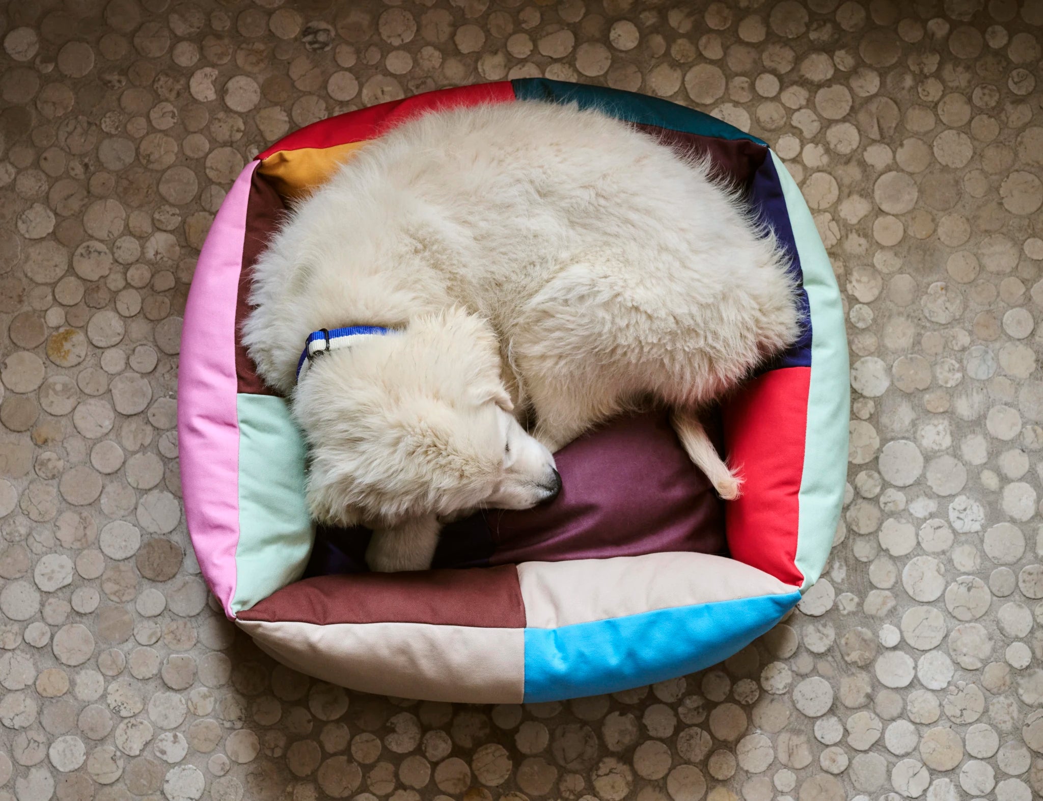 Dog Bed | Small | by HAY - Lifestory