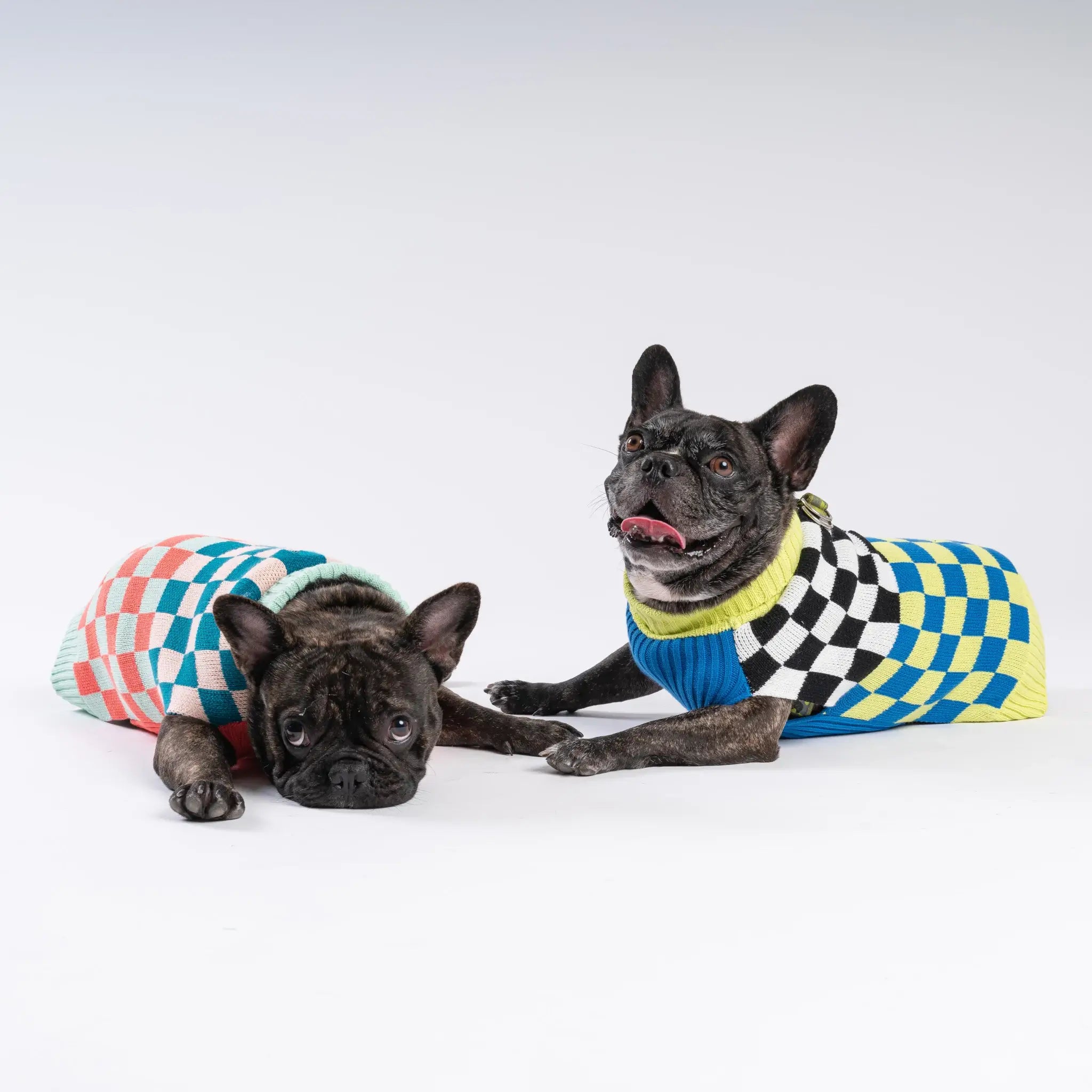 Checker-board Dog Sweater | Various | by VERLOOP - Lifestory