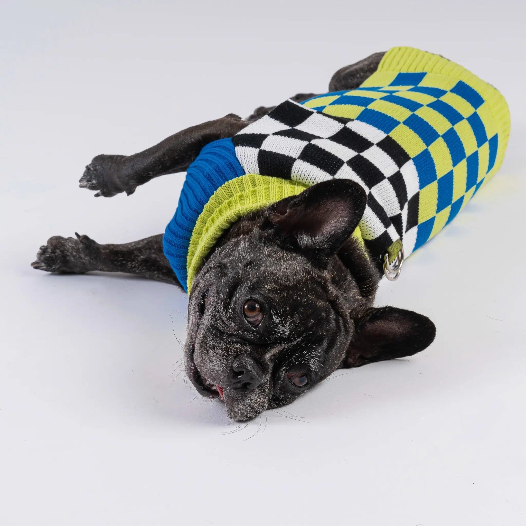 Checker-board Dog Sweater | Various | by VERLOOP - Lifestory