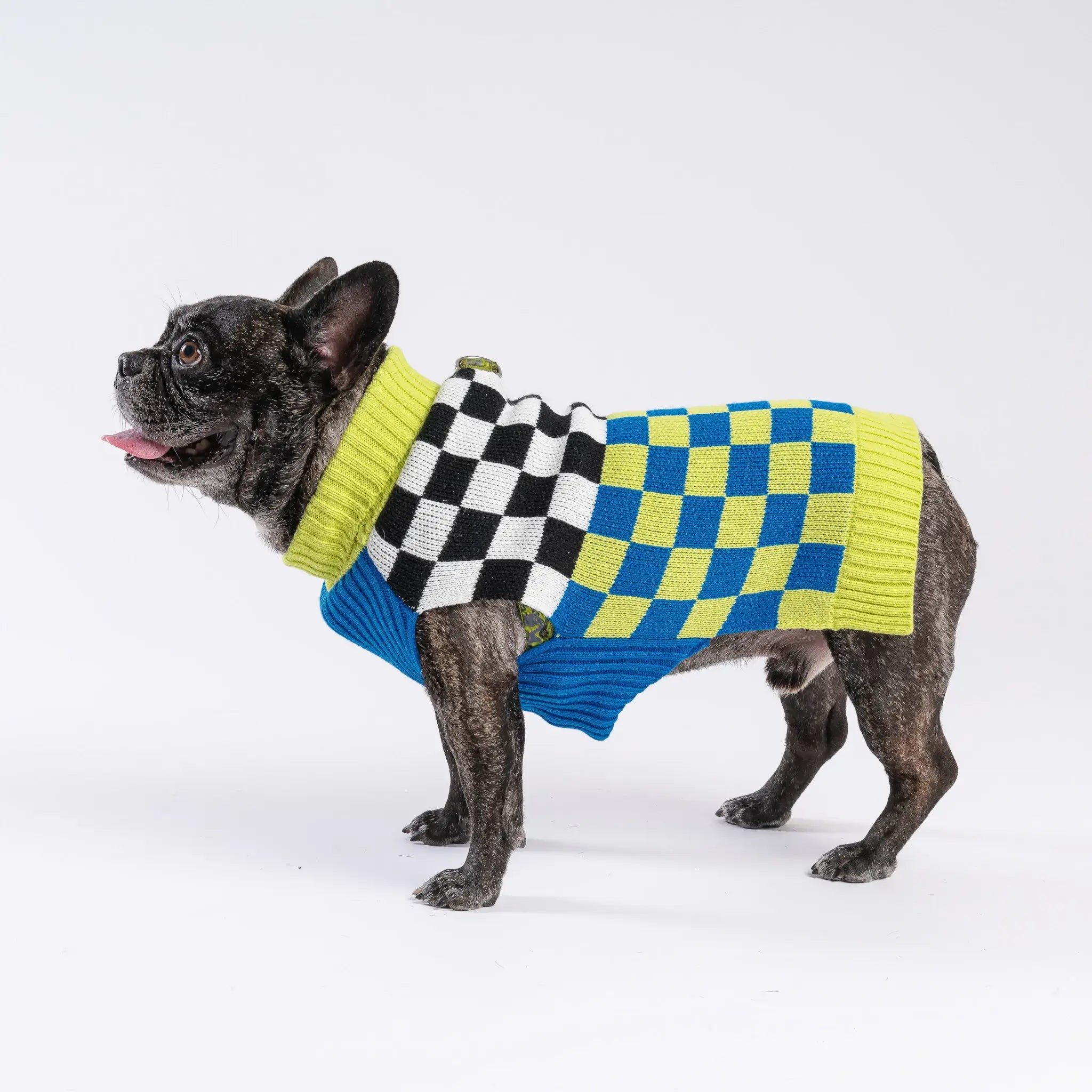 Checker-board Dog Sweater | Various | by VERLOOP - Lifestory