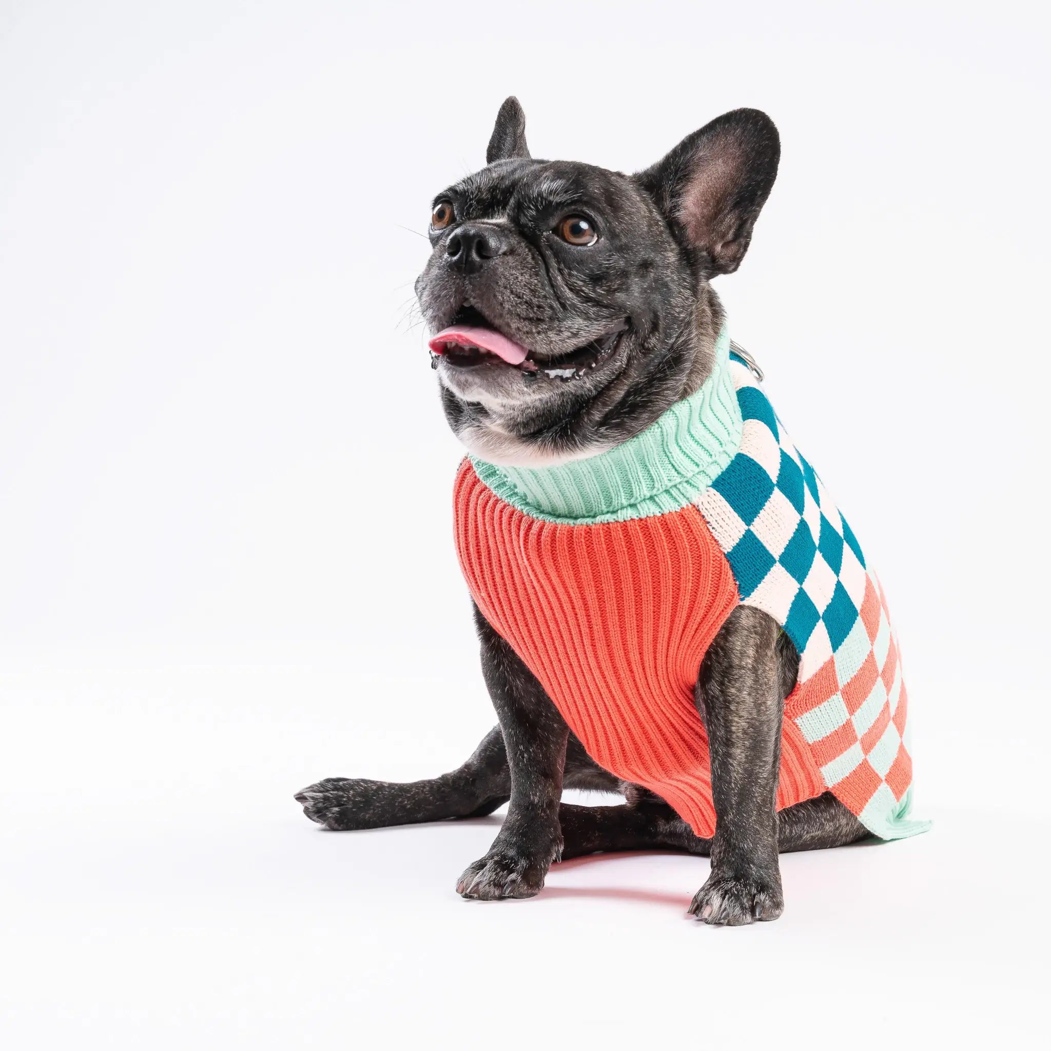 Checker-board Dog Sweater | Various | by VERLOOP - Lifestory