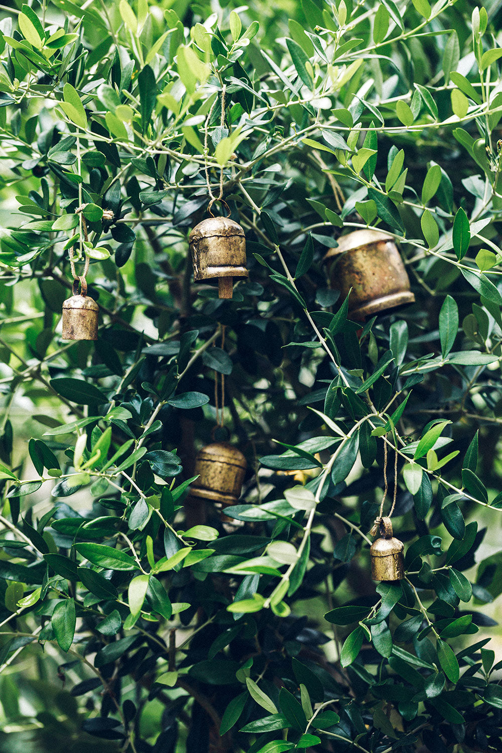 Fog Linen Work Rustic Brass Hanging Noah Bell