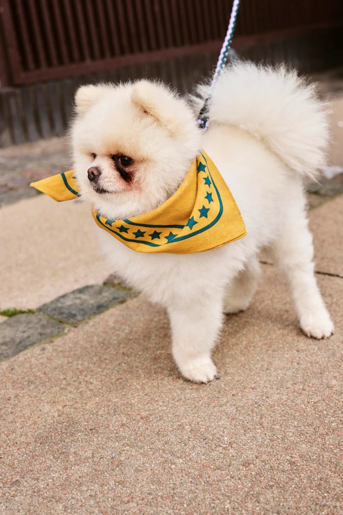 Dog Scarf | Cotton | by HAY - Lifestory