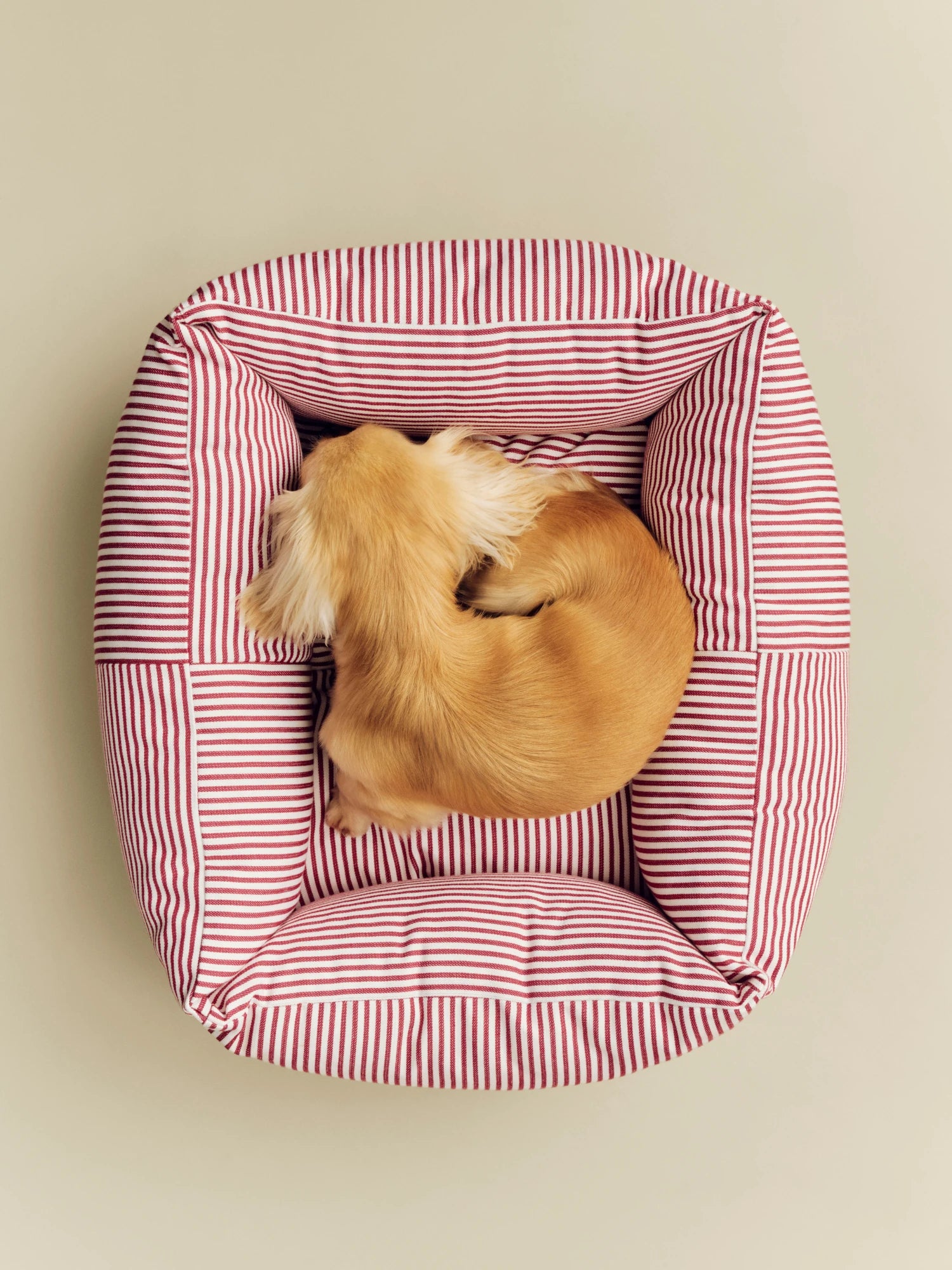 HAY Extra Small Dogs Bed Zip in Red & White Stripe - Lifestory
