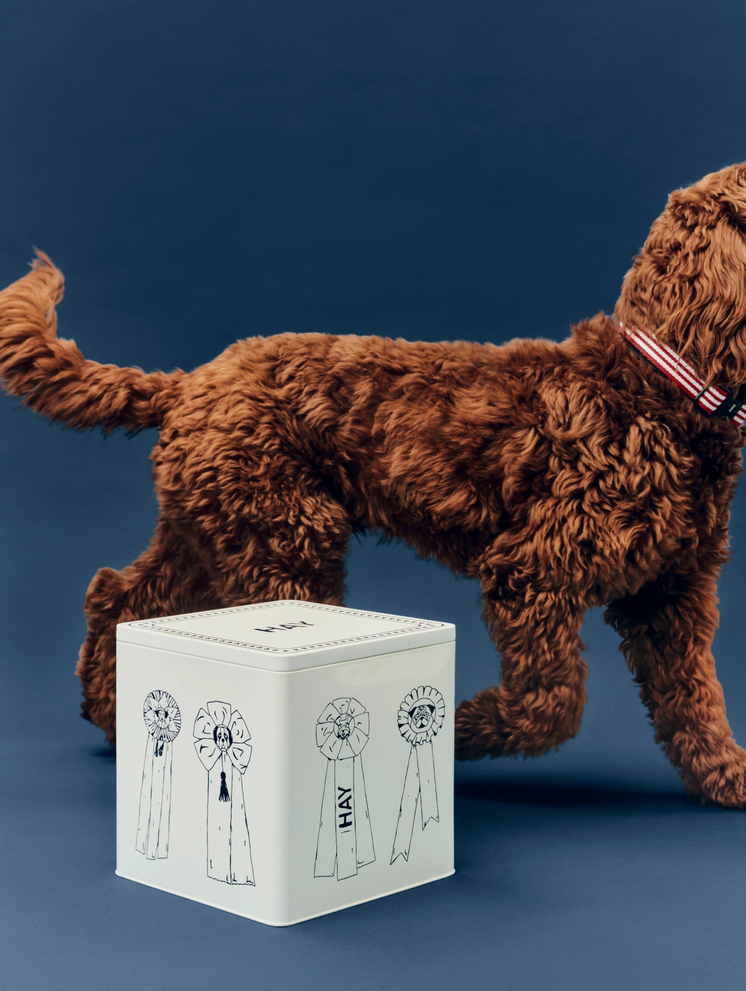 HAY Dogs Large Dog Food Storage Tin - Lifestory