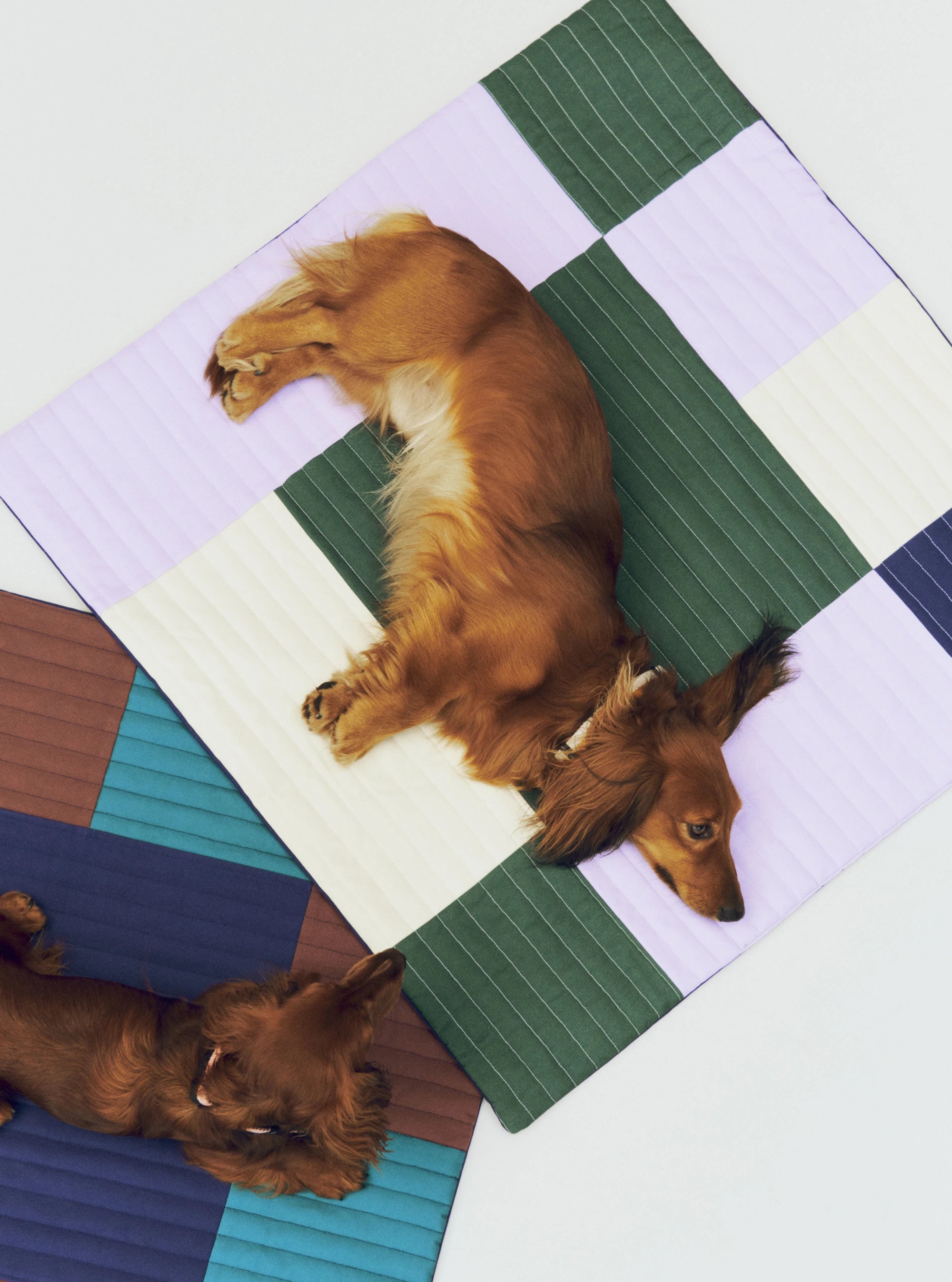 HAY Dogs Quilted Travel Blanket - Lifestory