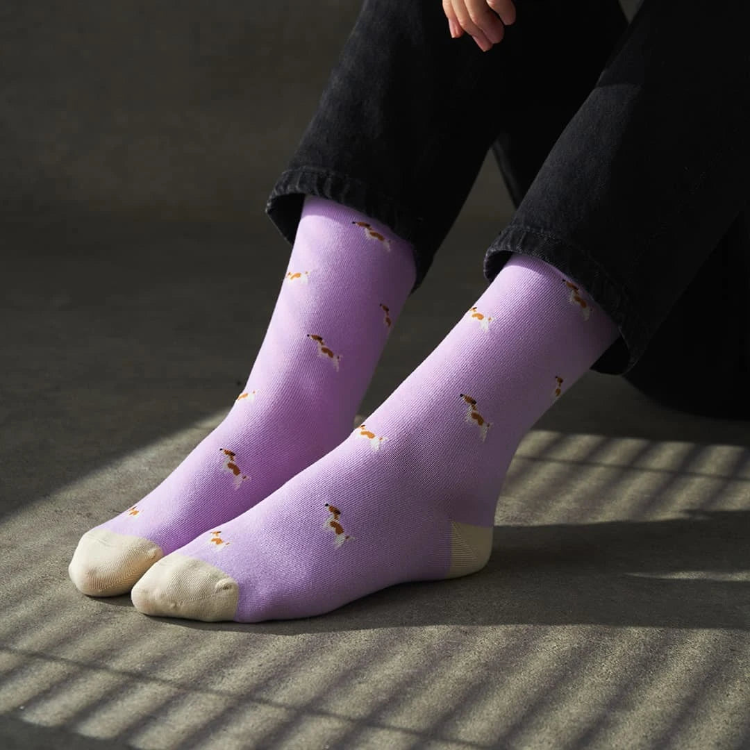 KOSI London The Jack Russell Bamboo Socks (UK 3-8) on a model on a dark background | Lifestory