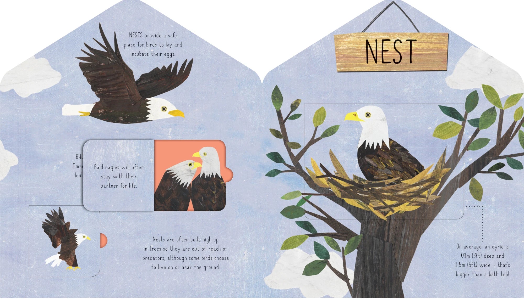 Animal Homes | Kids Book - Lifestory