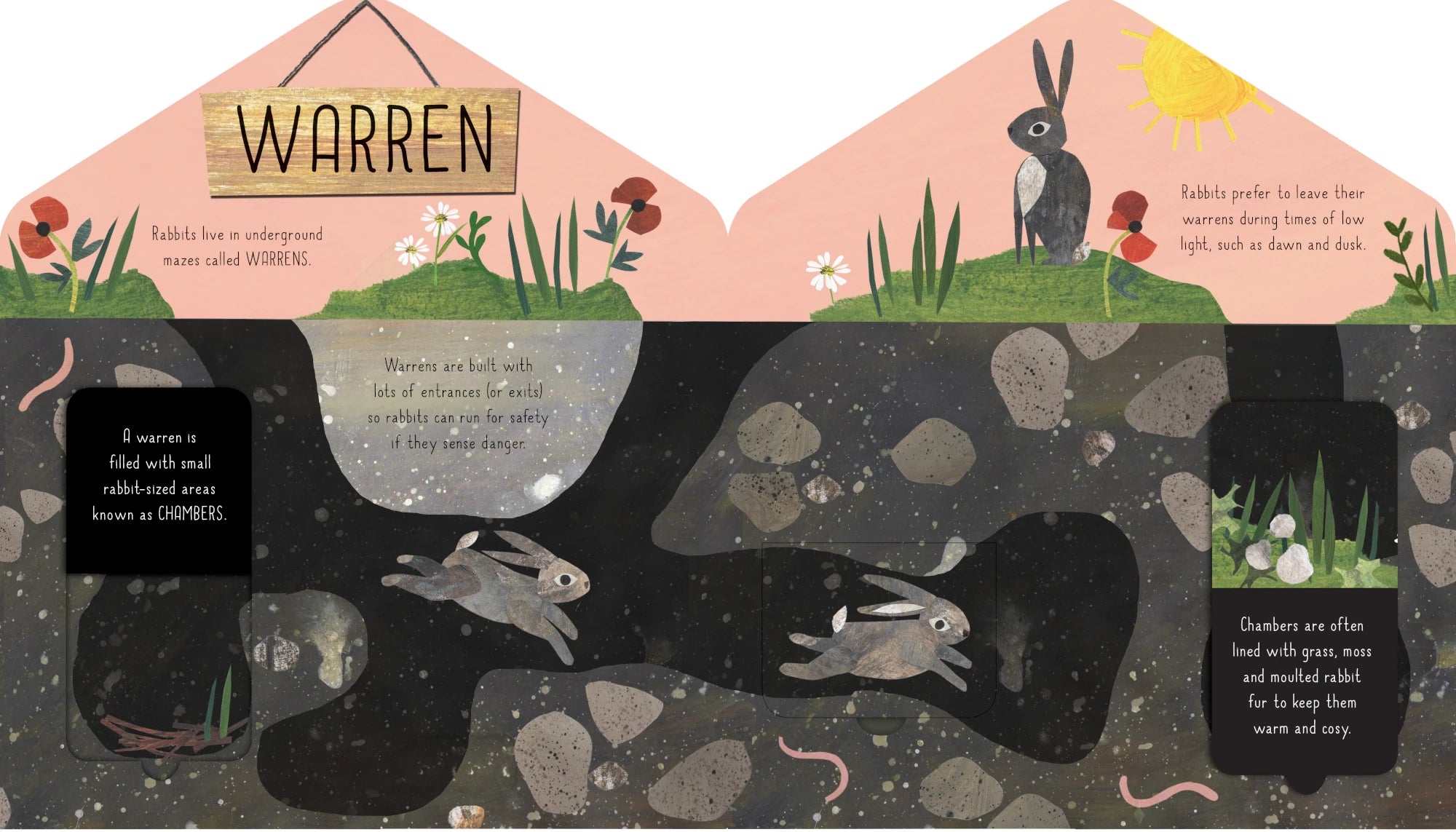 Animal Homes | Kids Book - Lifestory