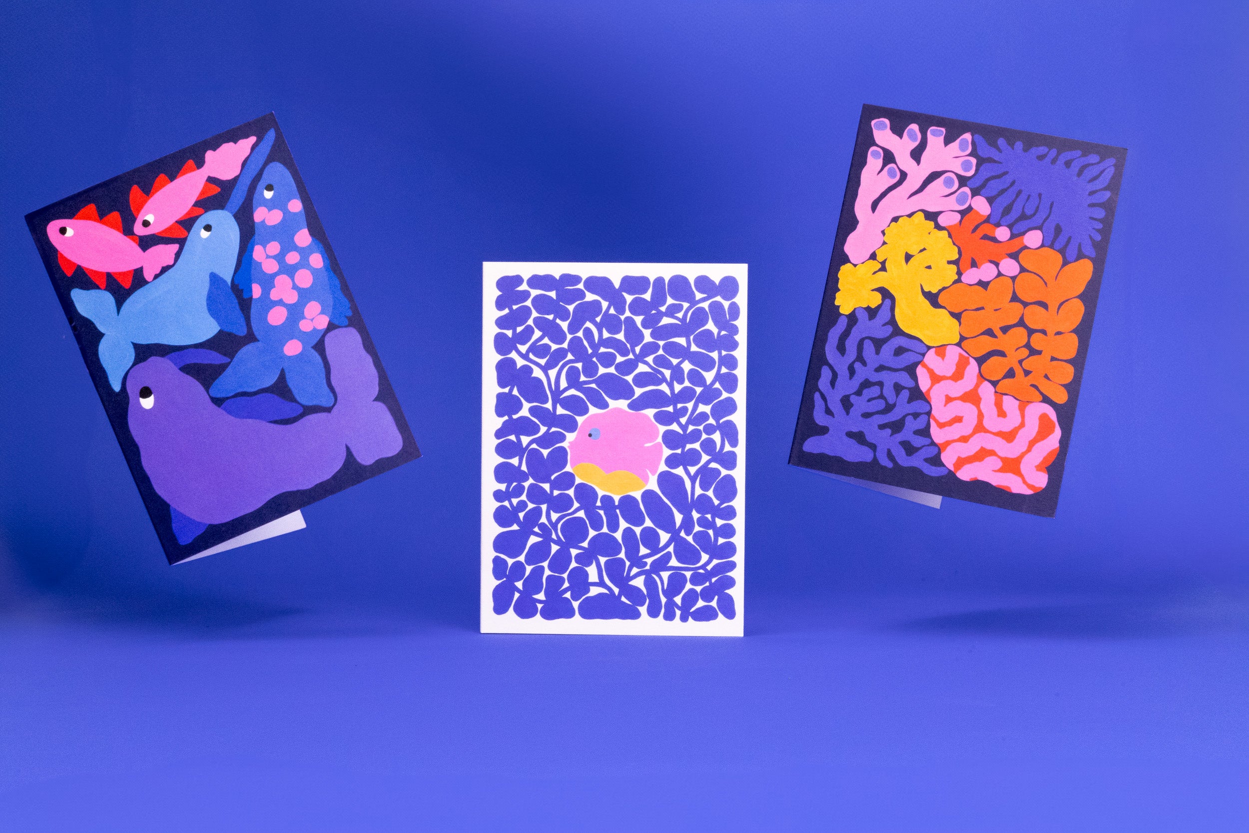 Liv Lee's WWF car collection on a blue background